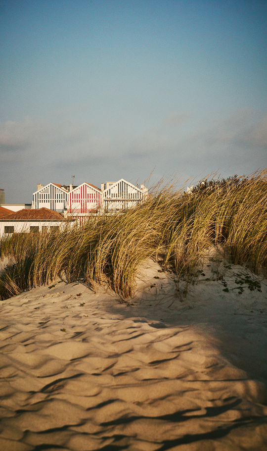 Typical houses with vertical colored stripes emerging behind a coastal dune covered in tall, golden grass, under a cloudy sky. Summer essentials FOR HER. Lightness and style, every day.