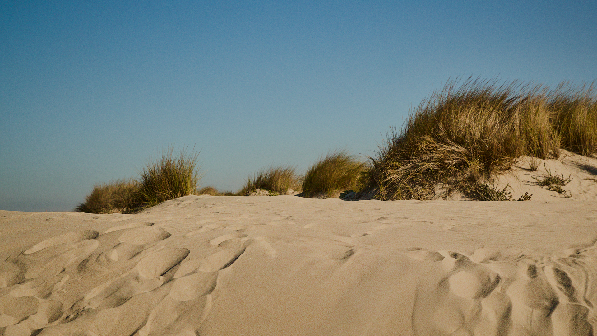 Image without a name