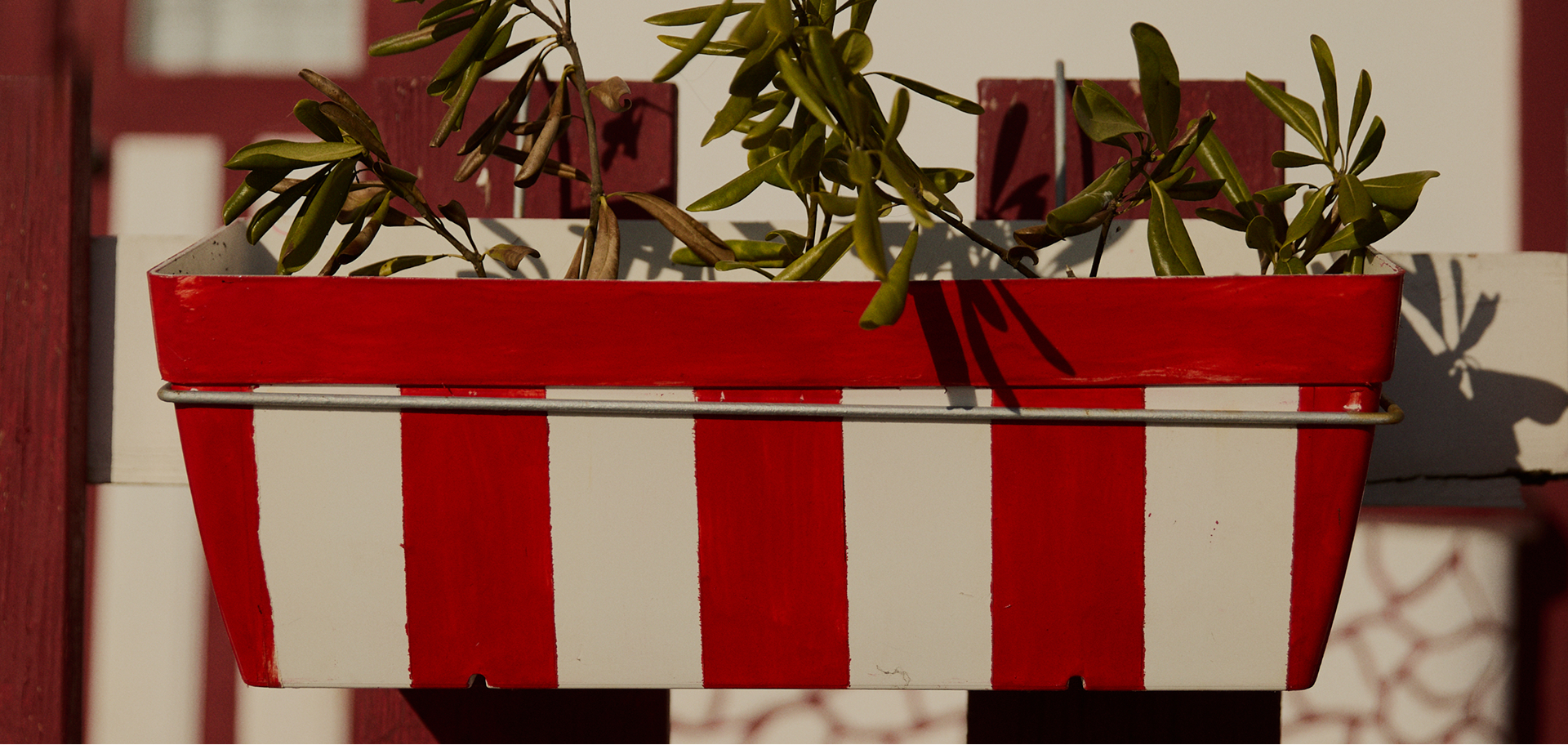 Panorama montano con cime innevate e cielo limpido