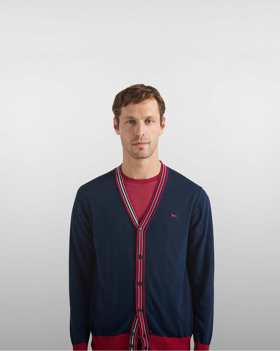 Uomo con polo rugby a righe verdi, blu e bianche