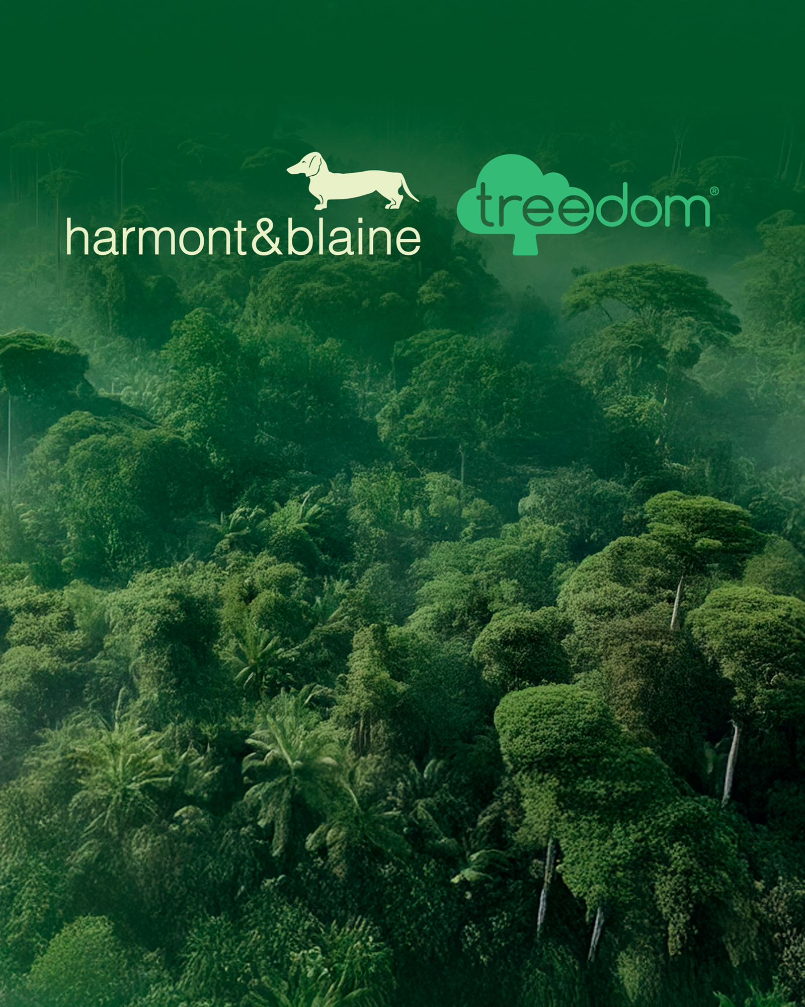 Harmont & Blaine and Treedom logos over a lush green forest background.
