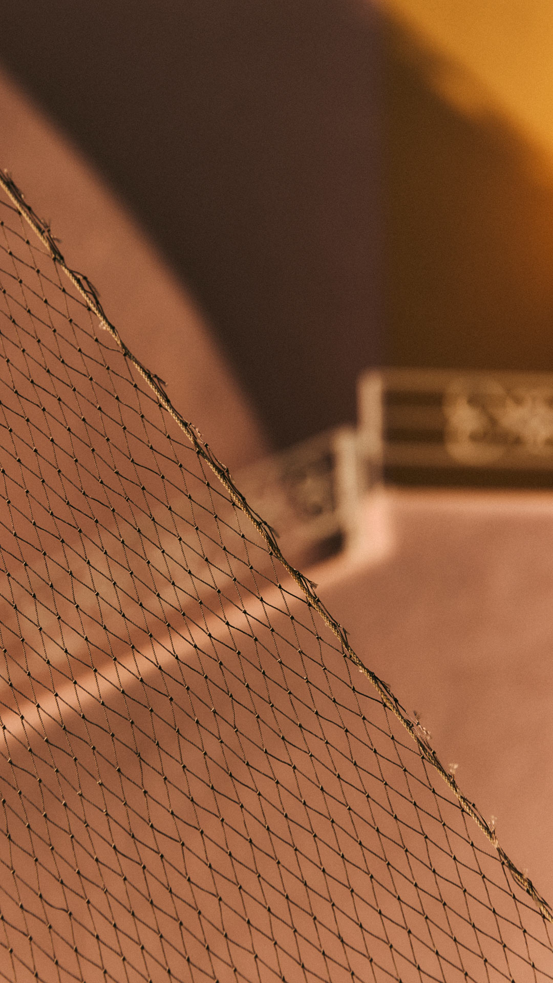 Fishing net in close-up against a blurred background.