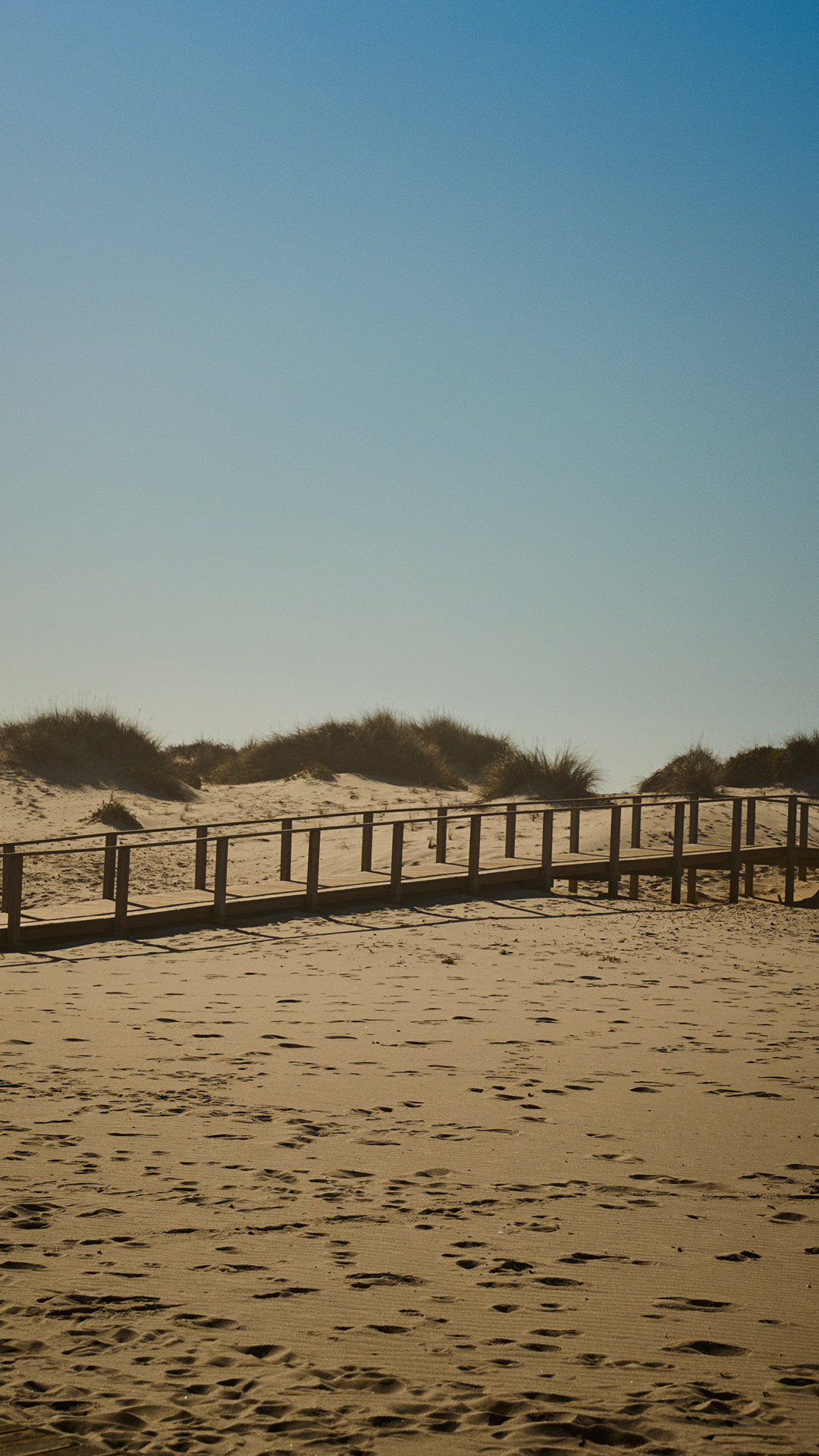 Paesaggio montano innevato con cielo limpido