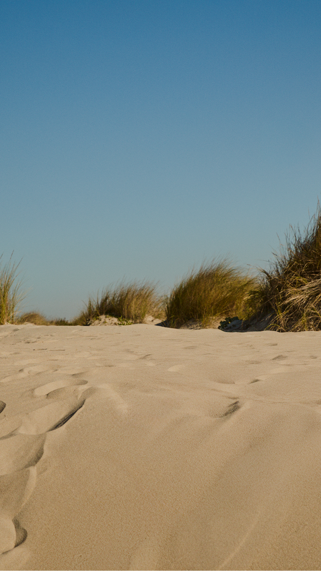 Image without a name