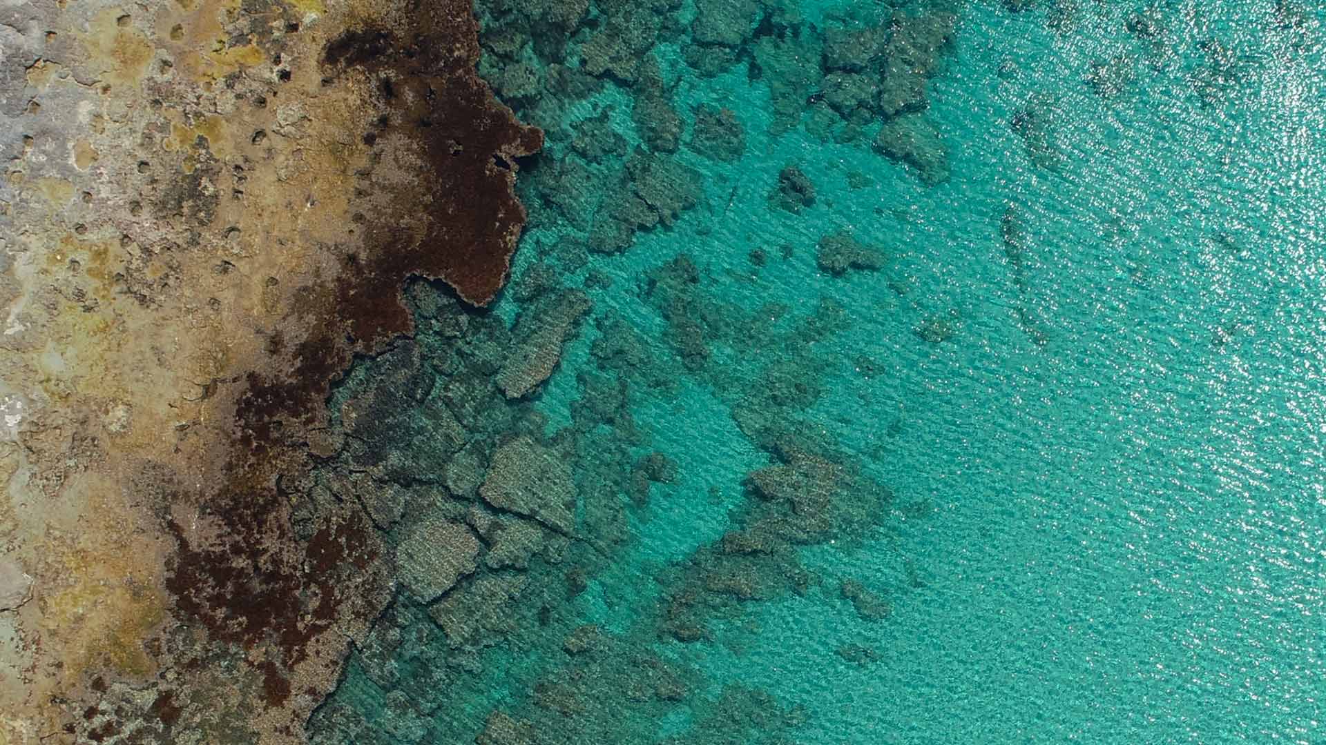 Image without a name
