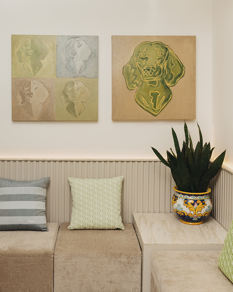 Intérieur avec coussins, plantes et tableaux décoratifs à Capri.