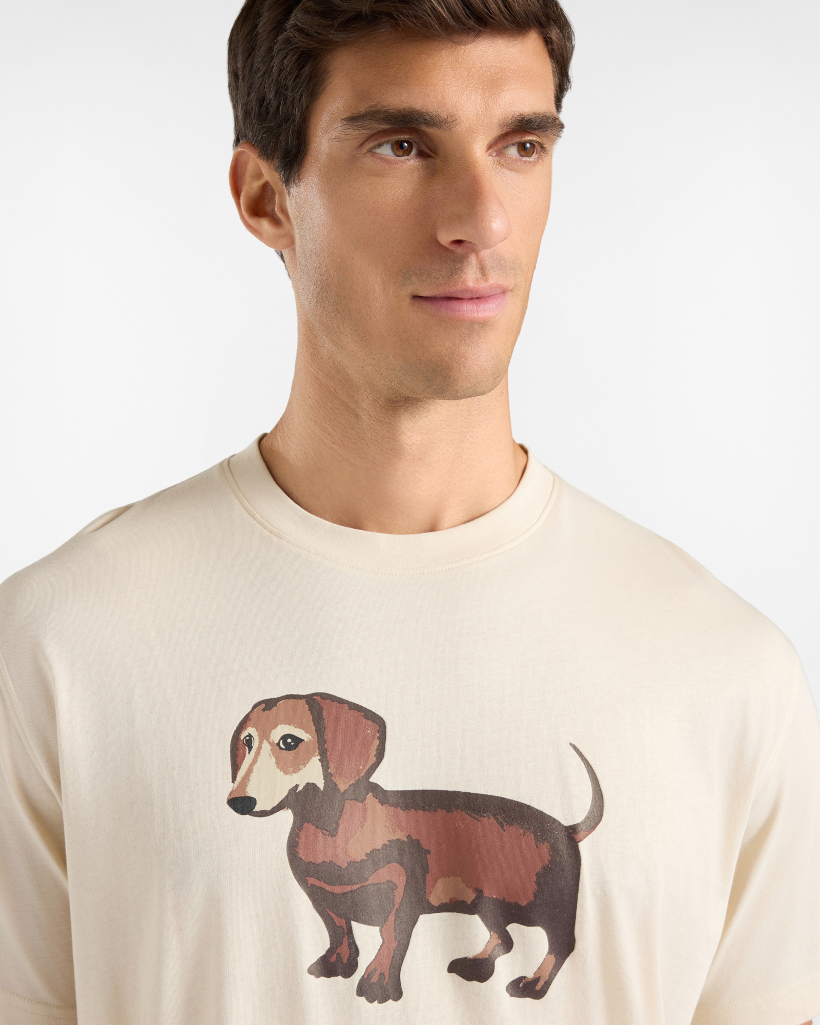 T-shirt Uomo in Jersey di Puro Cotone con Stampa Bassotto Effetto Acquerello, TORTORA, large