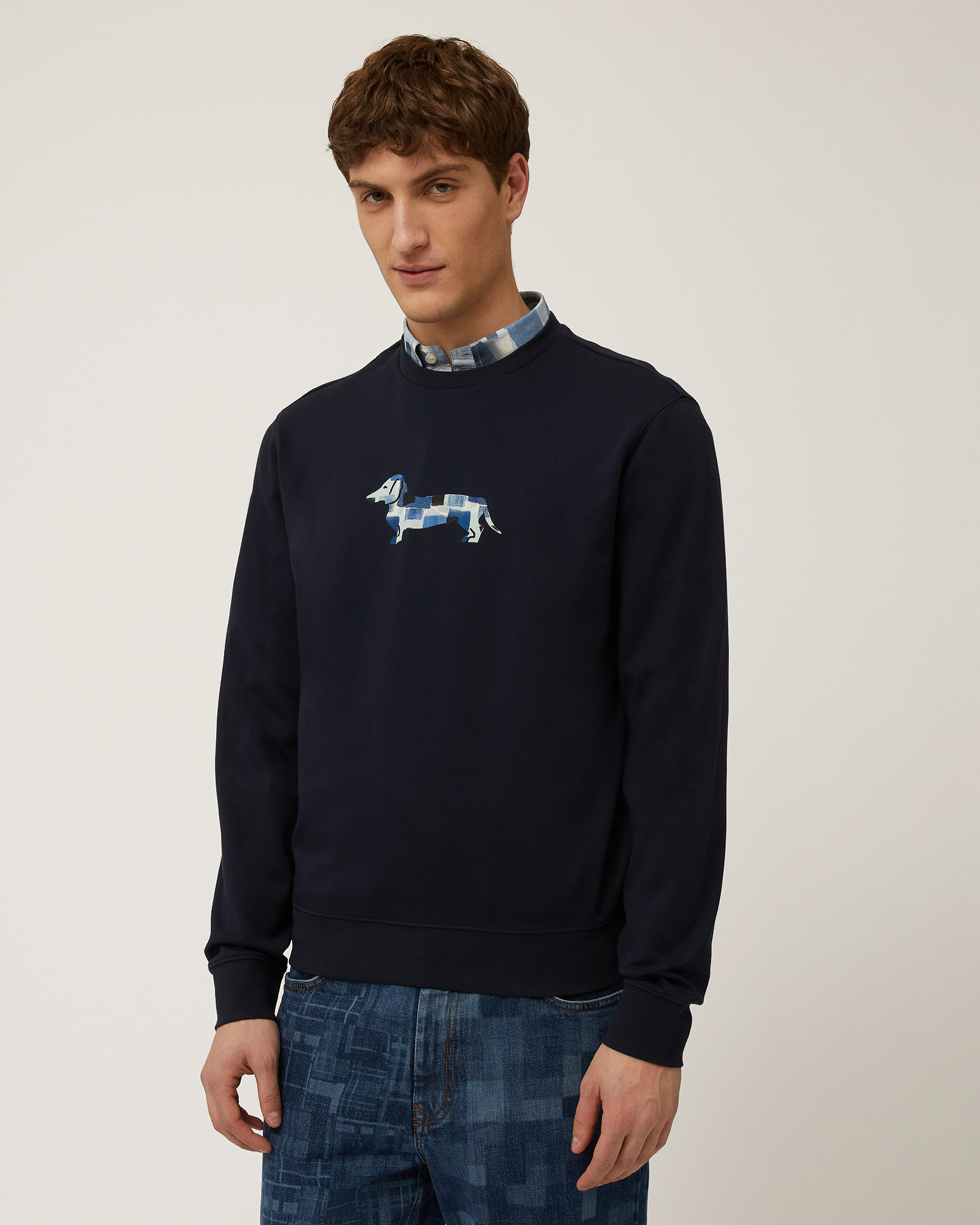 Cotton Sweatshirt with Dachshund