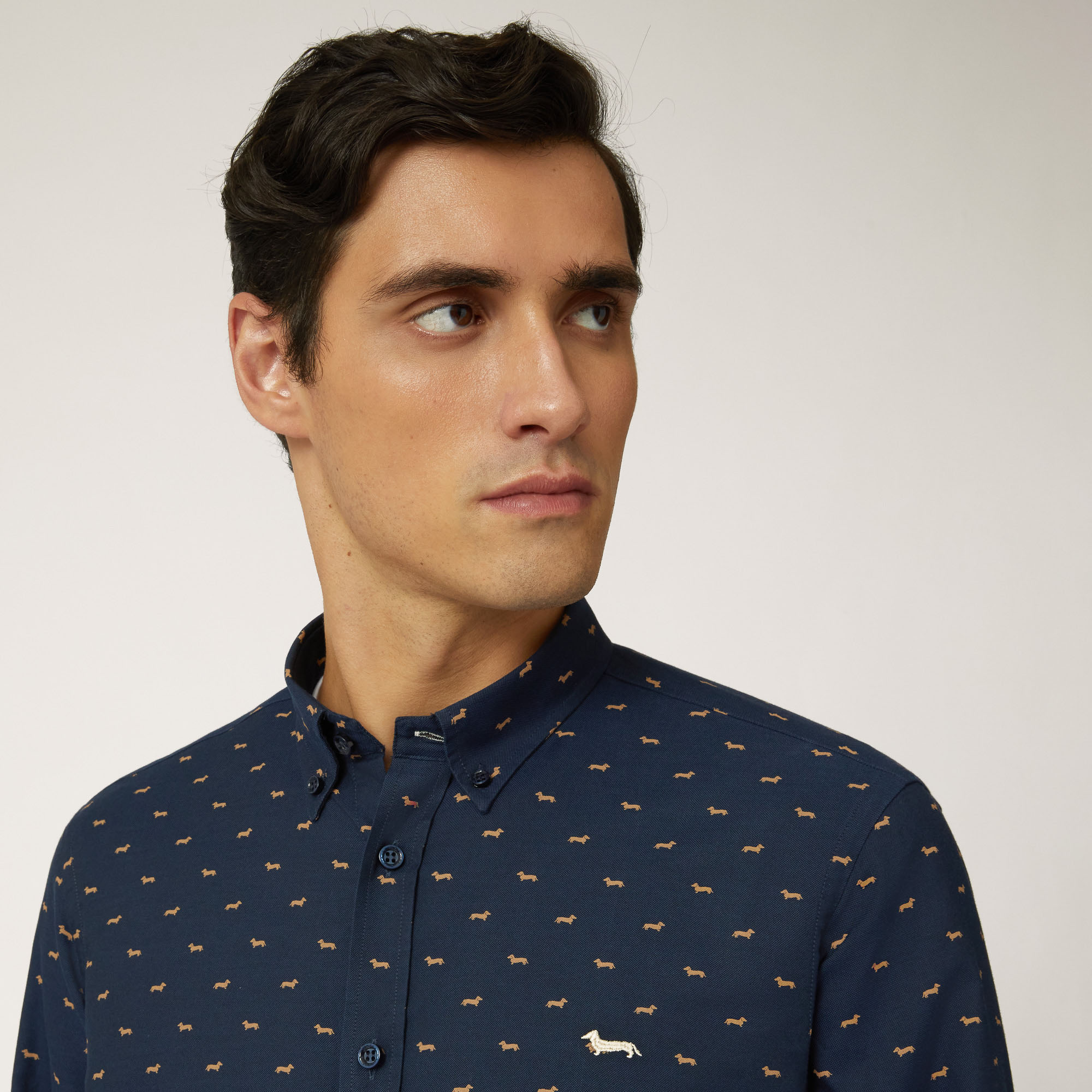 Camicia In Cotone Con Bassotti All-Over, Light Blue, large image number 2