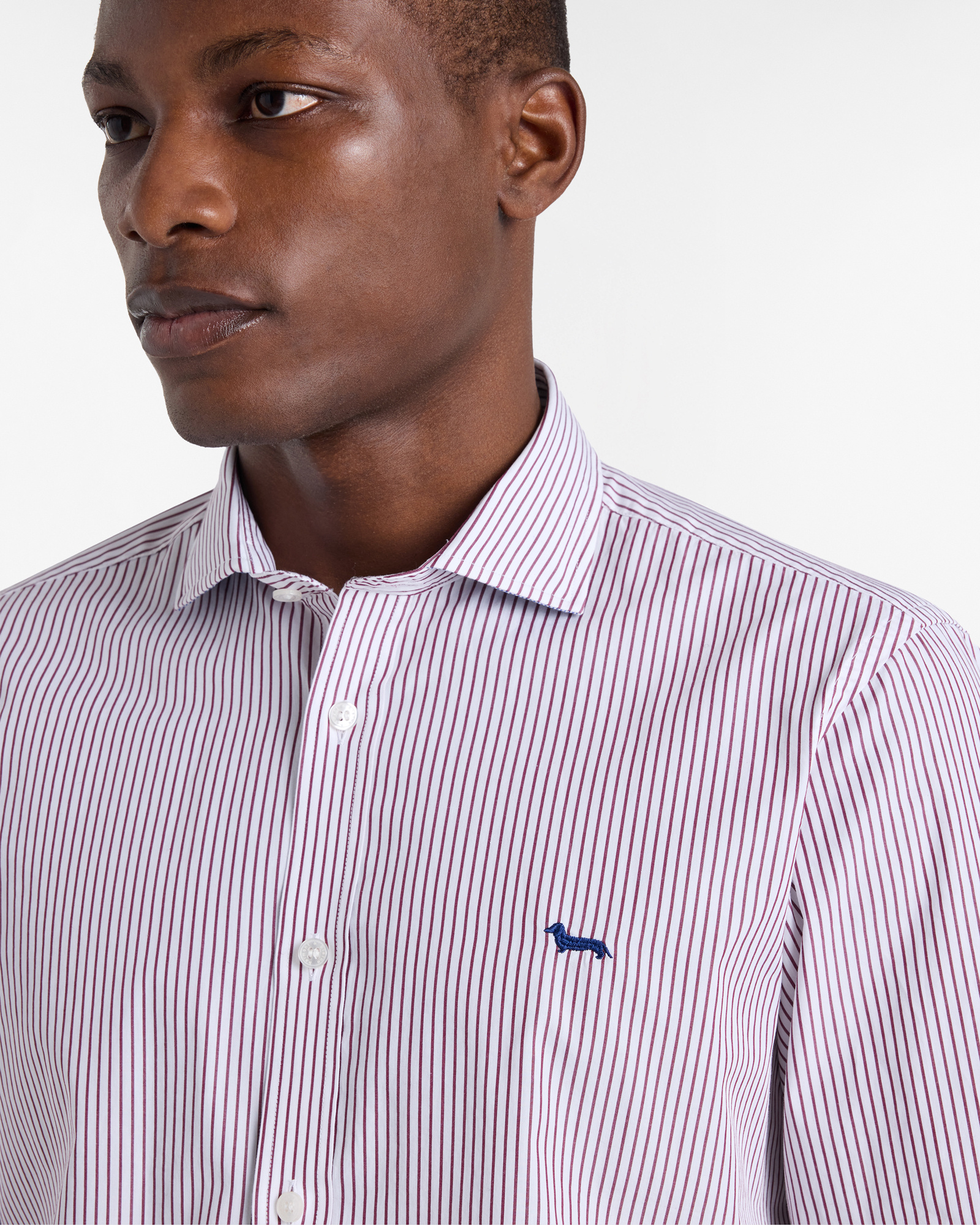 Striped Shirt with Dachshund, Light Red, large image number 2