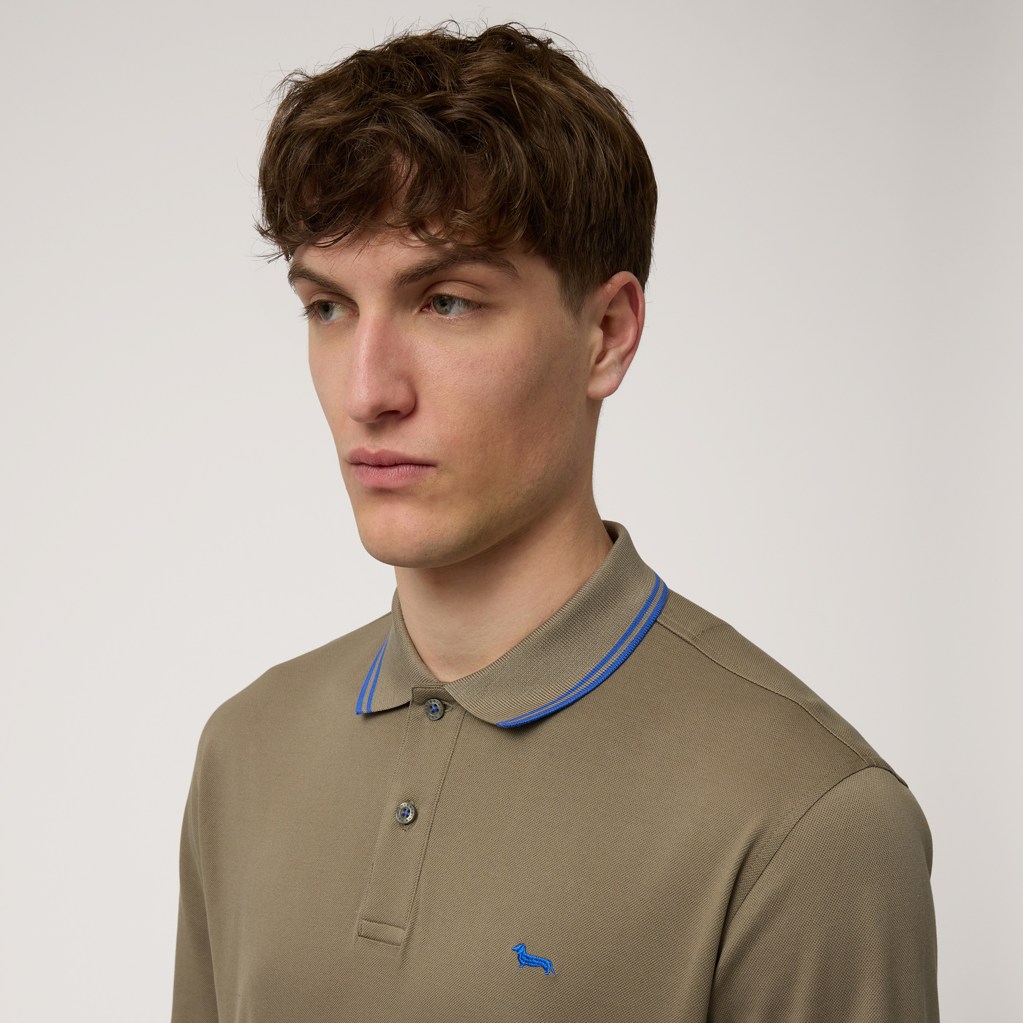 Langärmeliges Poloshirt aus Baumwolle, Spinatgrün, large image number 2