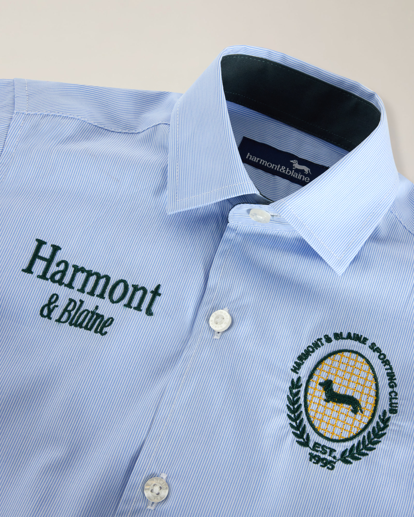 Striped shirt with roll-up sleeves and special embroidery, Light Blue, large image number 2