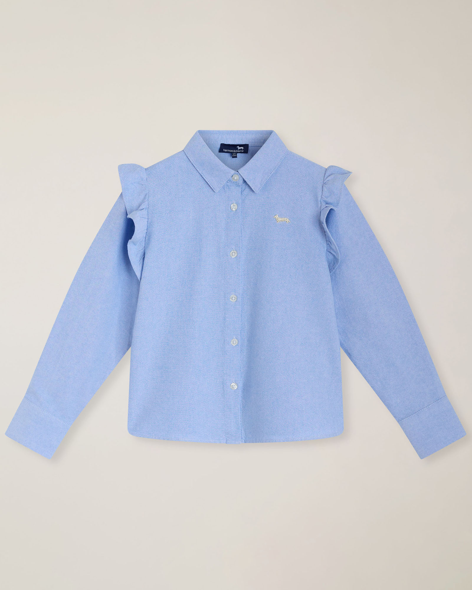 Camicia oxford con ricamo dietro, Cielo, large