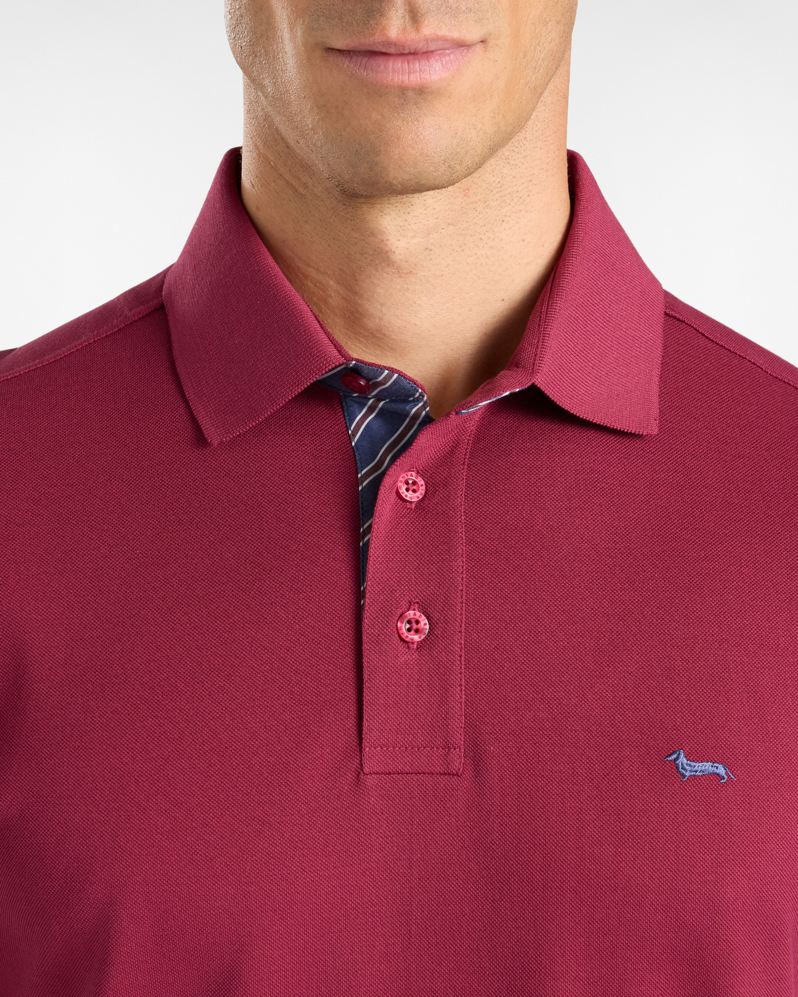 Men's short-sleeve 100% pure cotton piqu&eacute; polo shirt, INDIAN ROSE, large image number 2