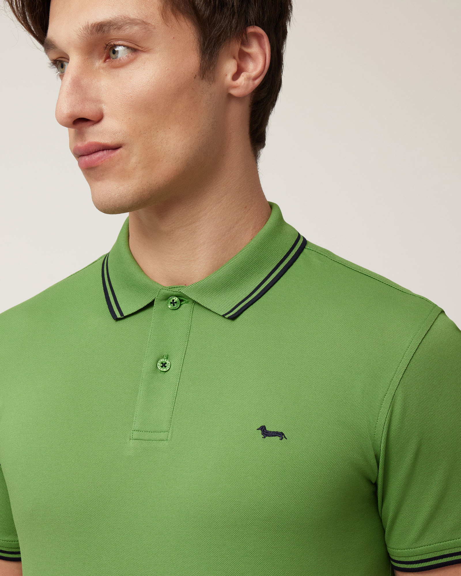 Poloshirt mit Streifendetails, Wiesen grün, large image number 2
