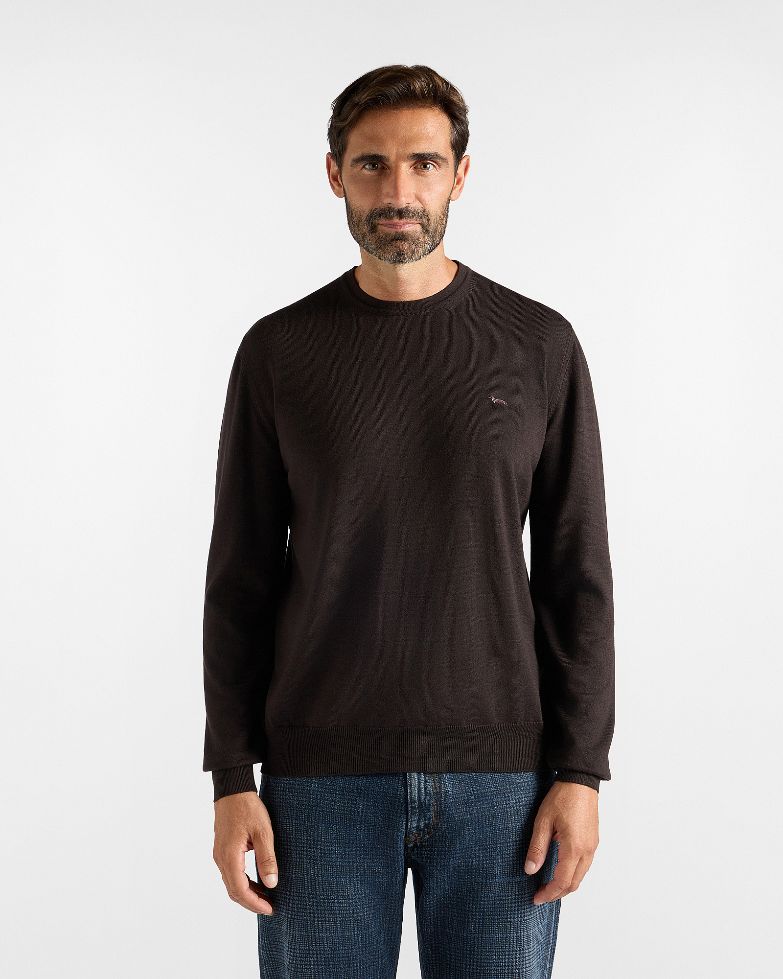 Men's Made in Italy sweater in brown 100% pure wool with regular fit