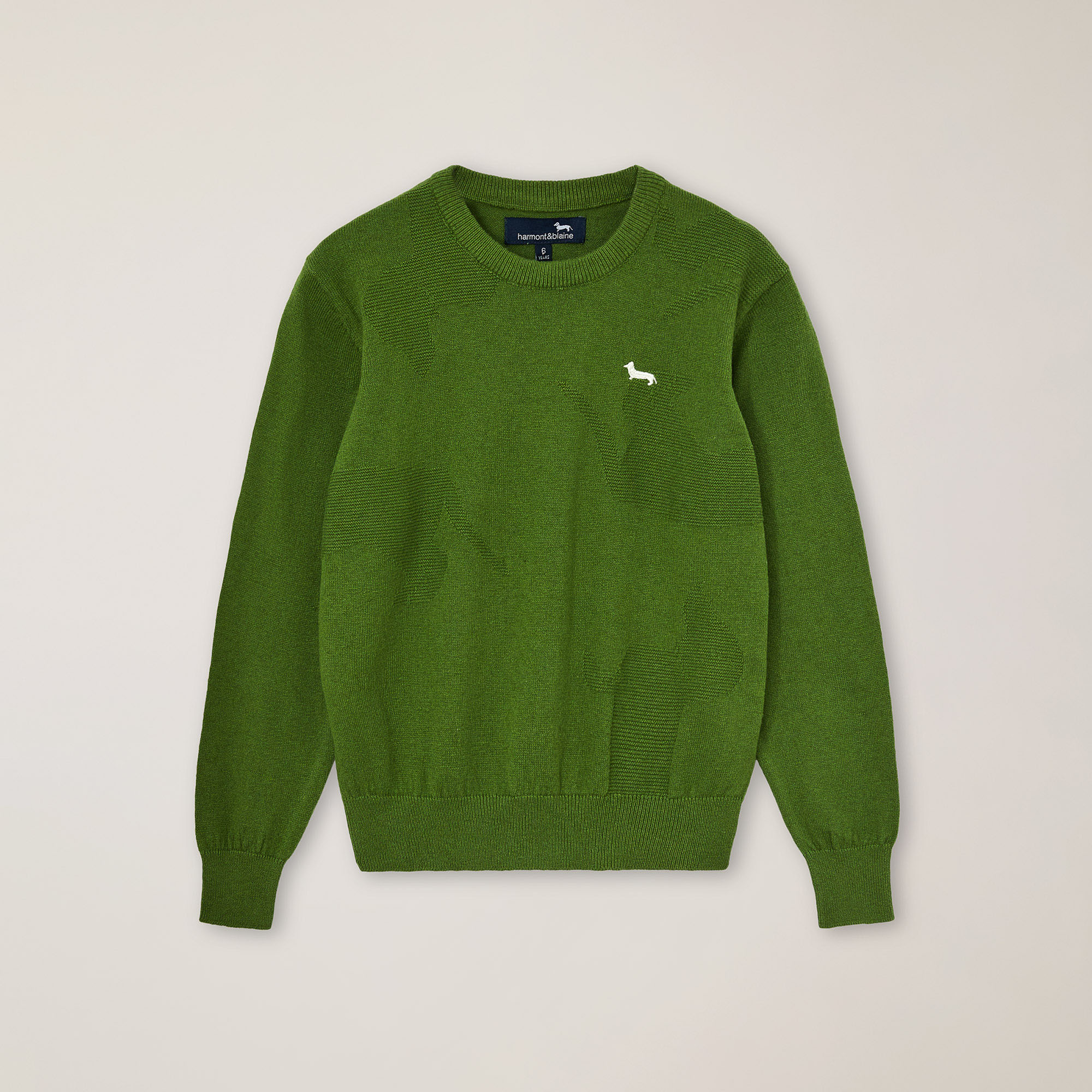 Jersey de cuello redondo en jacquard con bordado de teckel, Verde &aacute;cido, large image number 0