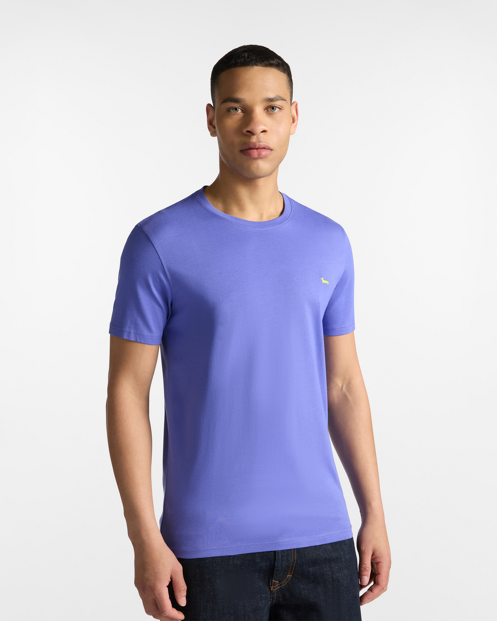 Cotton T-Shirt with Dachshund