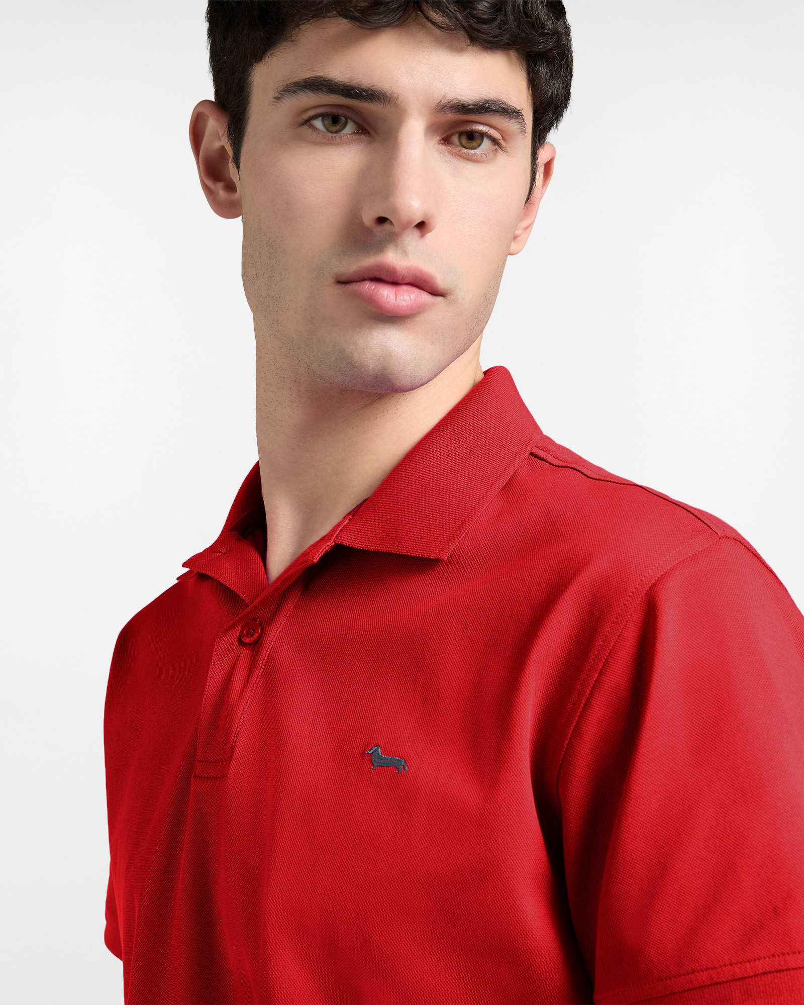 Polo b&aacute;sico de hombre de piqu&eacute;, Rojo, large image number 2