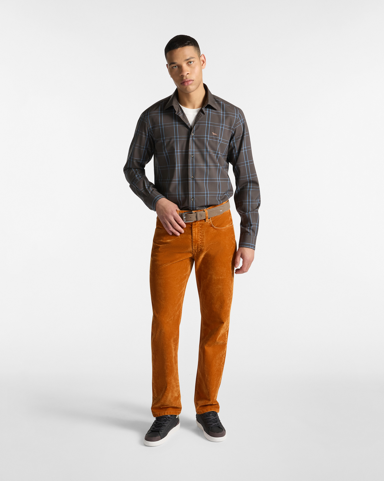 5-Pocket Regular Fit Pants, Curry Yellow, large image number 3
