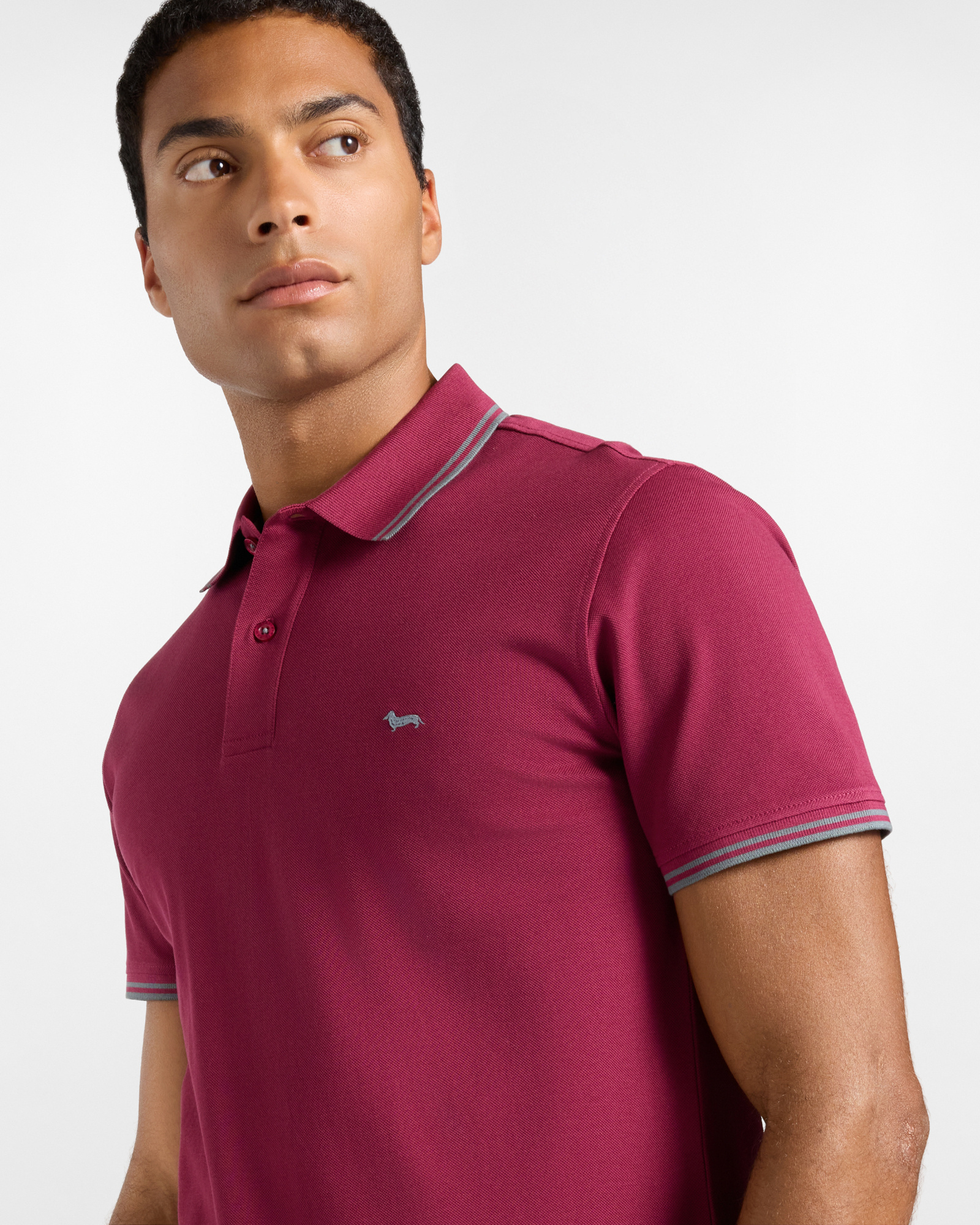 Men's short-sleeve 100% pure cotton piqu&eacute; polo shirt, INDIAN ROSE, large image number 2