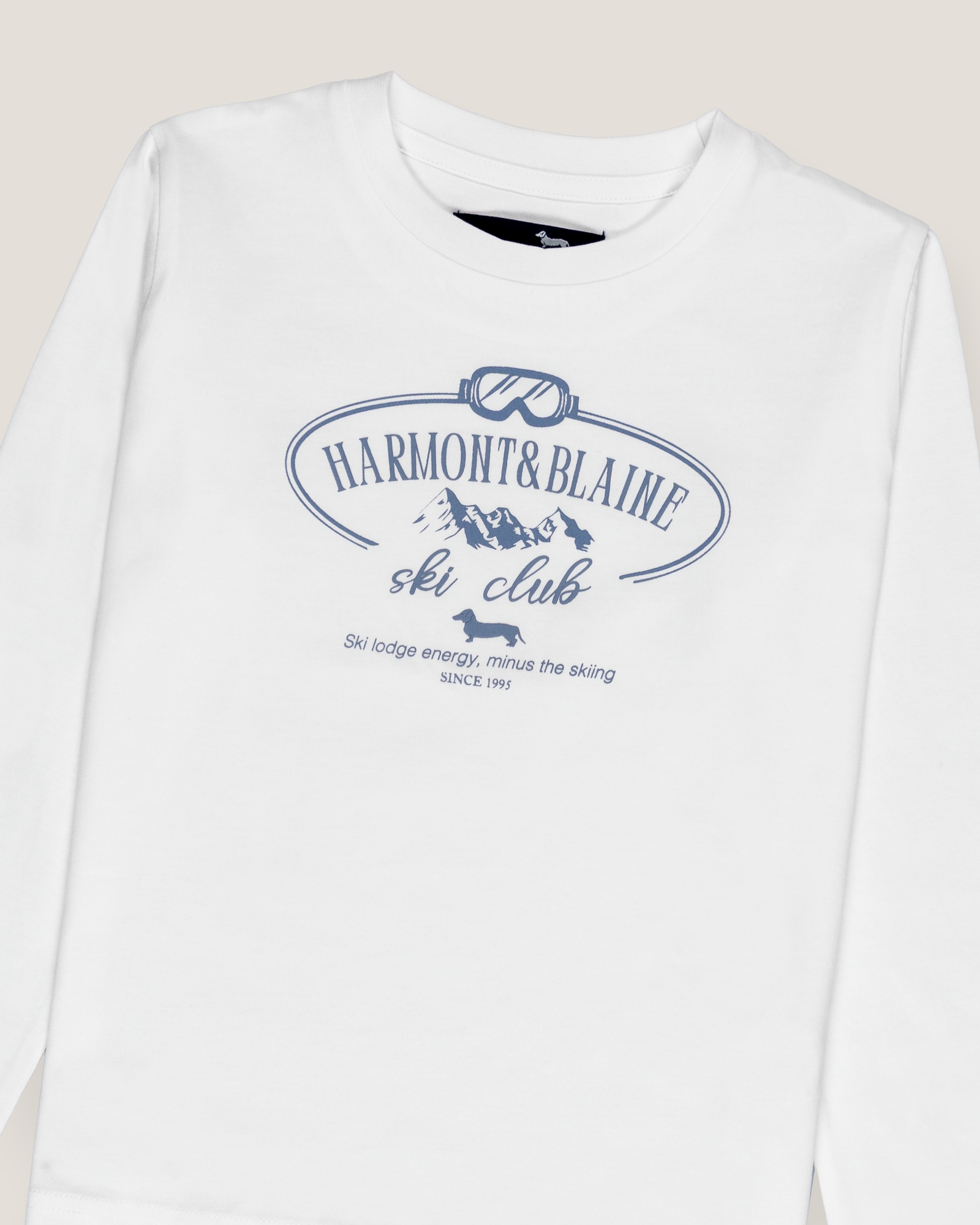 Long-sleeve t-shirt with ski print, White, large
