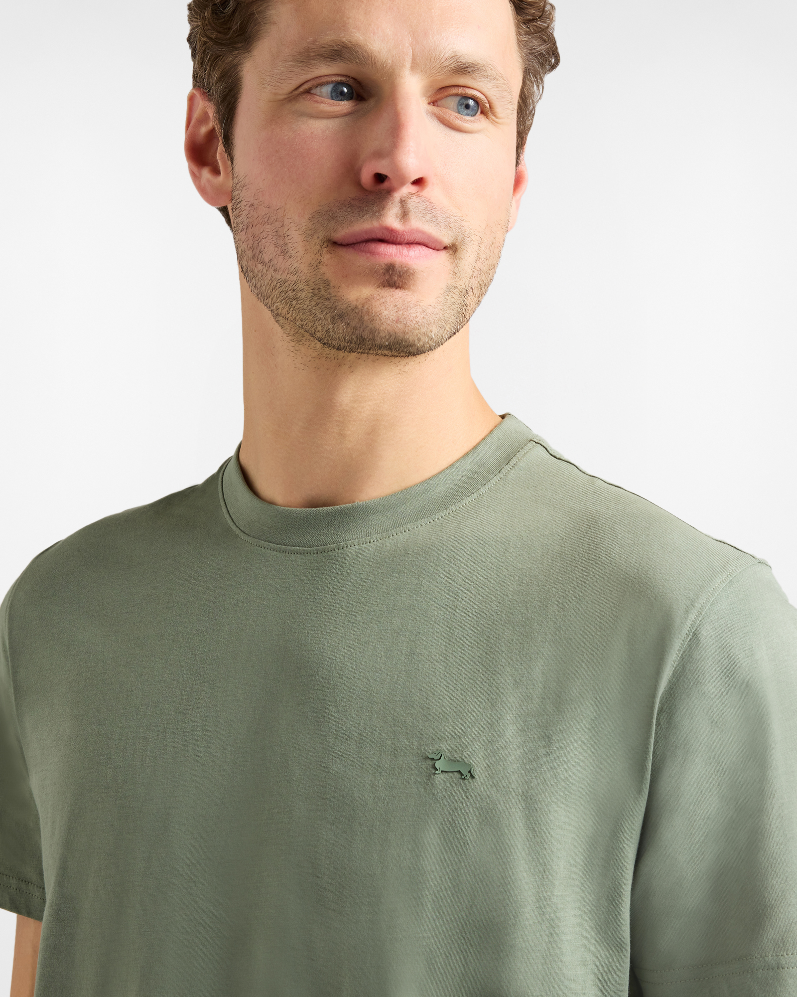 Camiseta de hombre de algod&oacute;n con perro salchicha en 3D, Verde, large image number 2