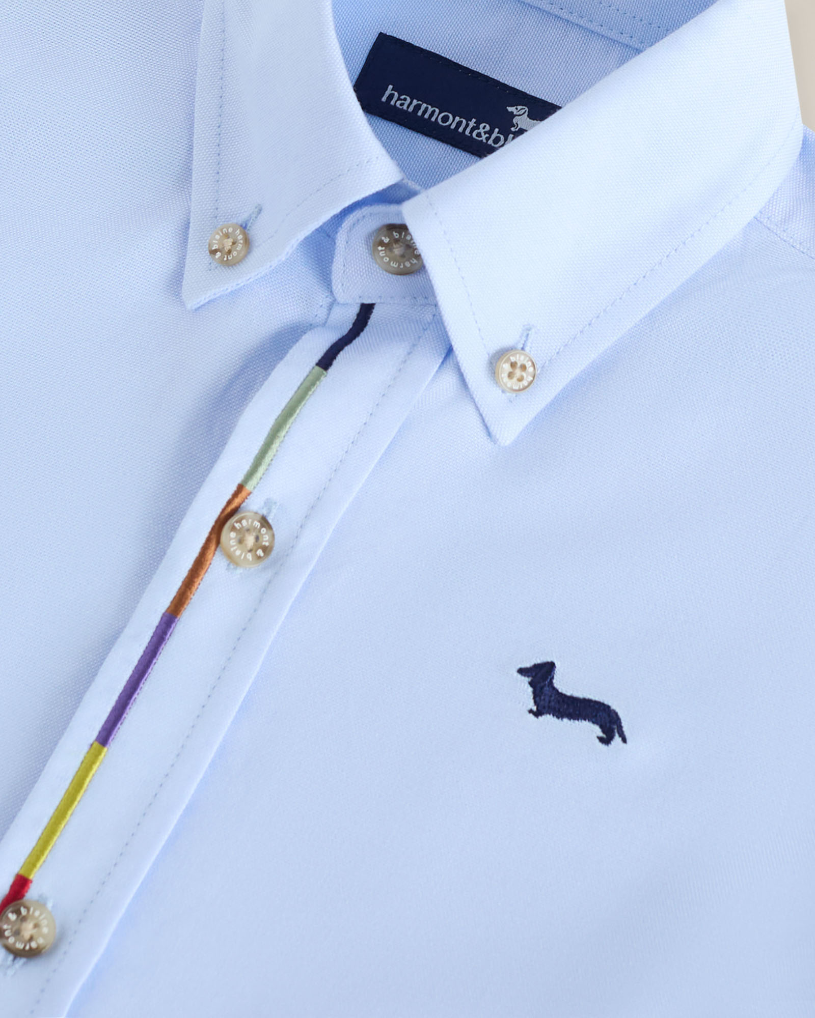 Shirt with multicolor embroidery, Light Blue, large image number 2