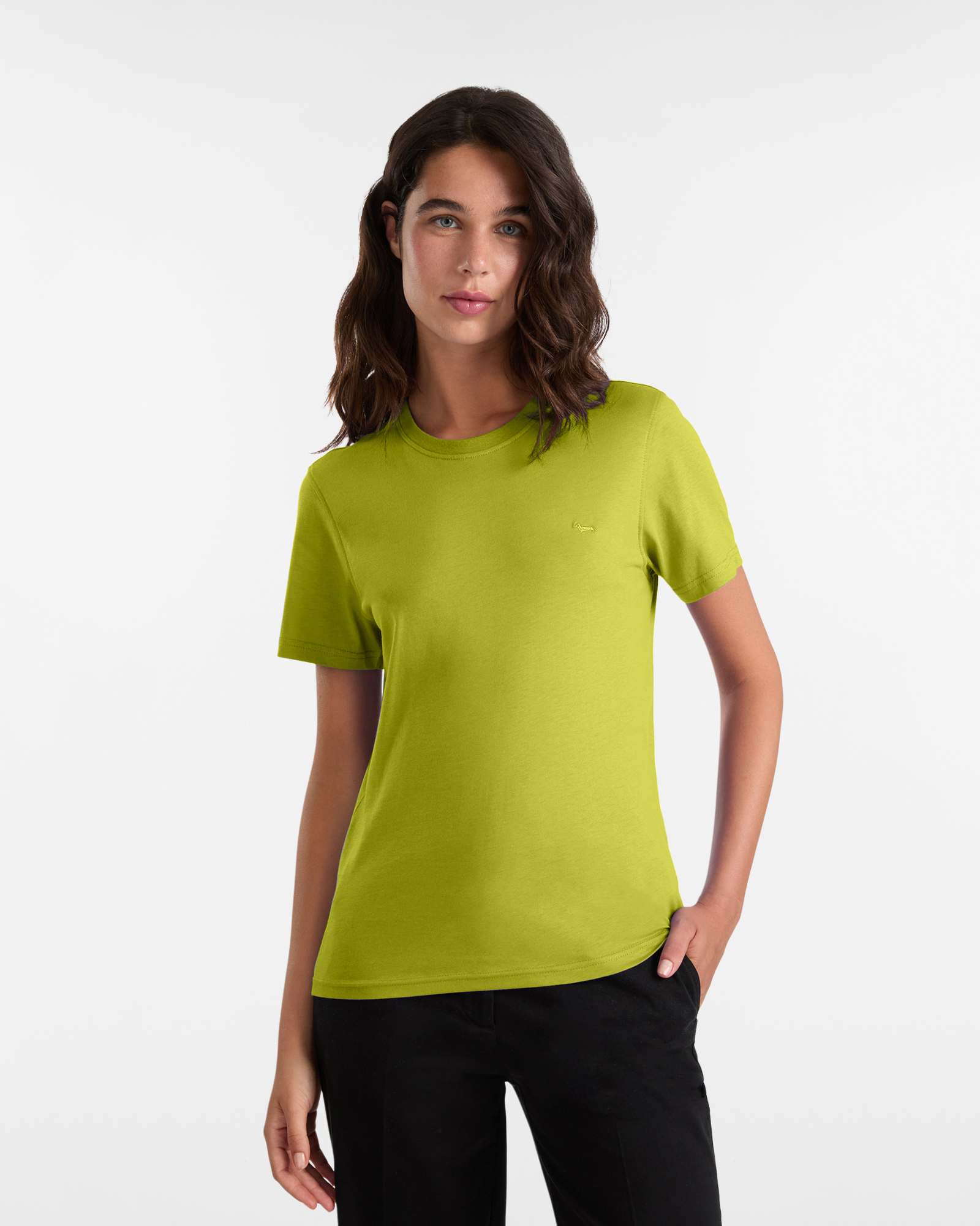 Camiseta de Jersey de Algodón con Perro Salchicha Bordado, Verde, large