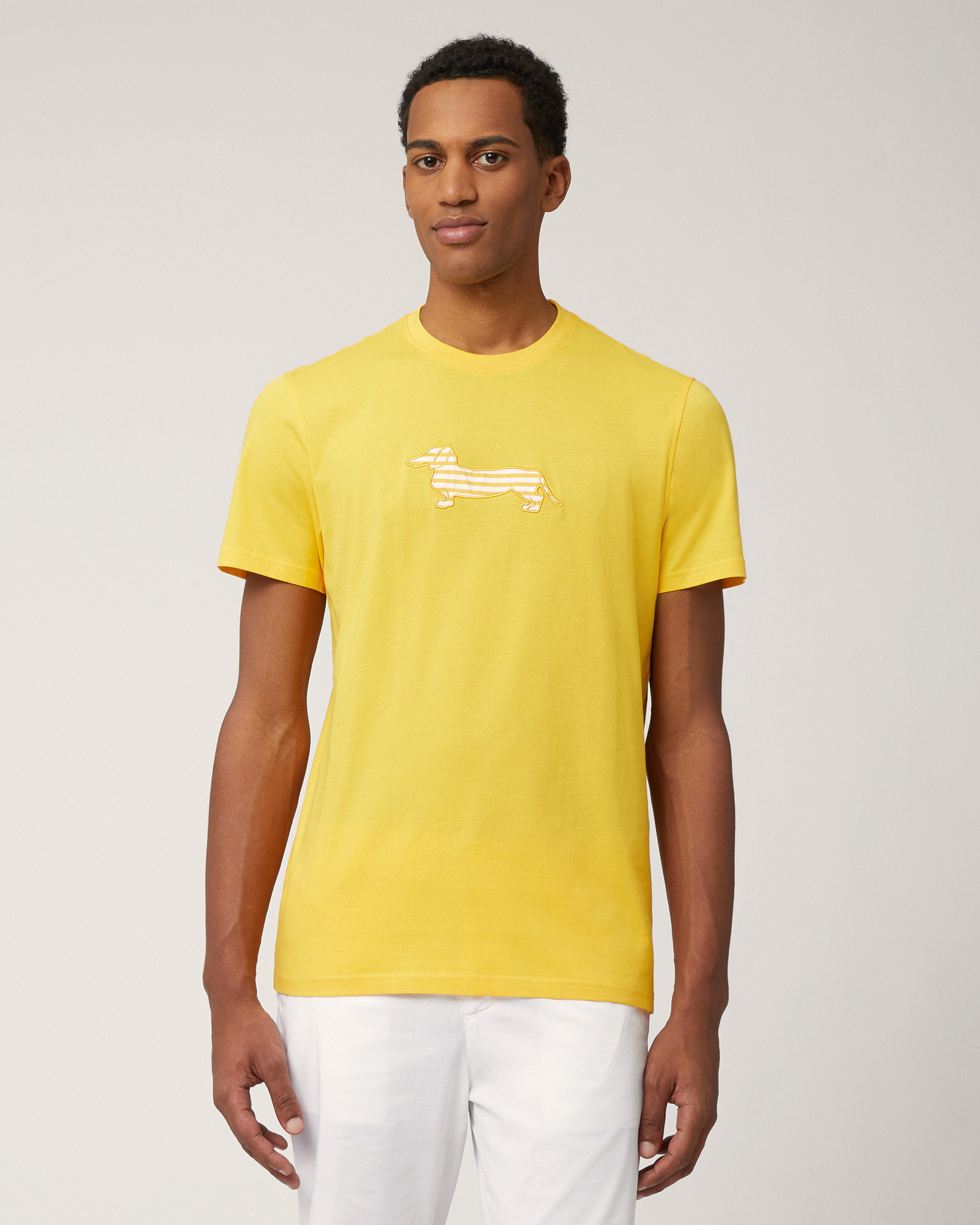 Sorbet T-Shirt with Dachshund