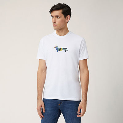 Cotton T-Shirt With Multicolored Dachshund