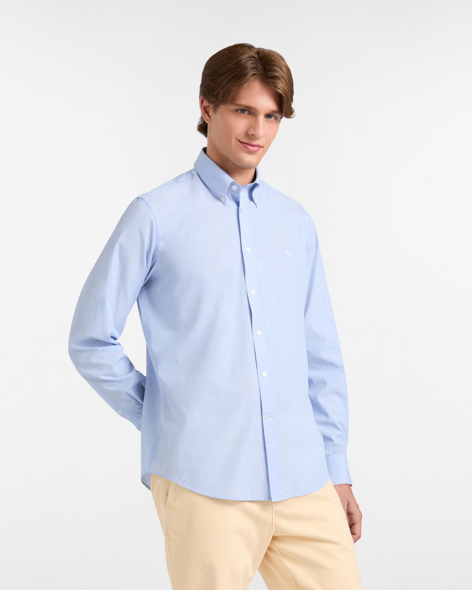 Regular Cotton Shirt with Dachshund, Sky, large