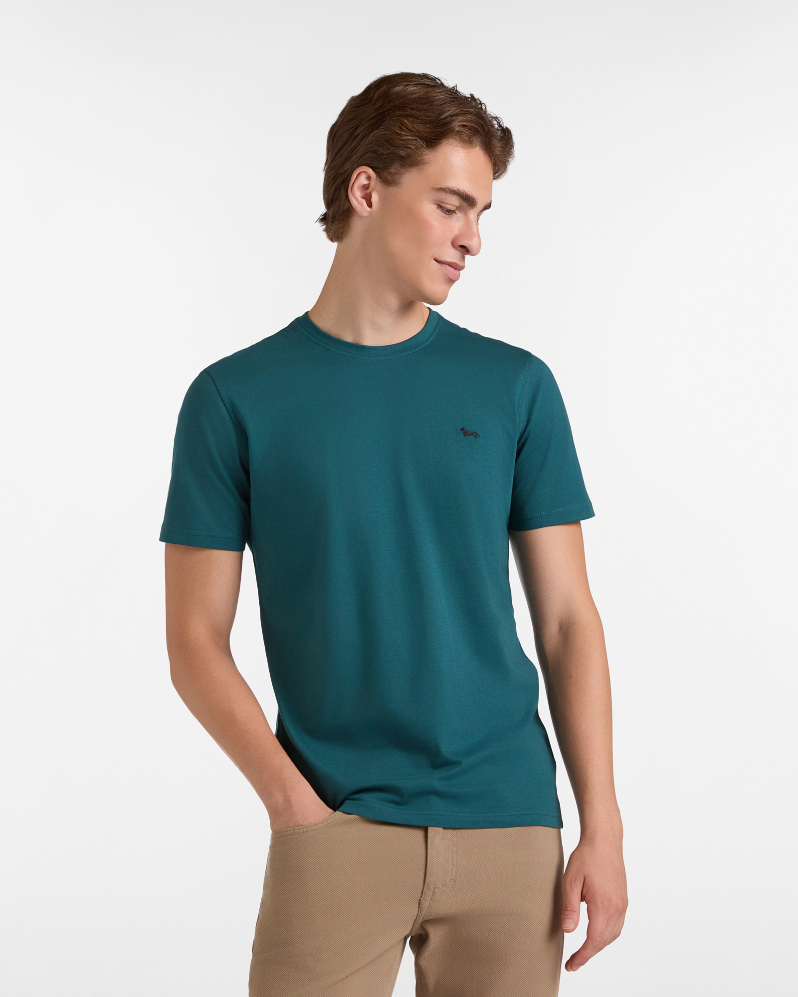Cotton T-Shirt with Dachshund, Bluette, large