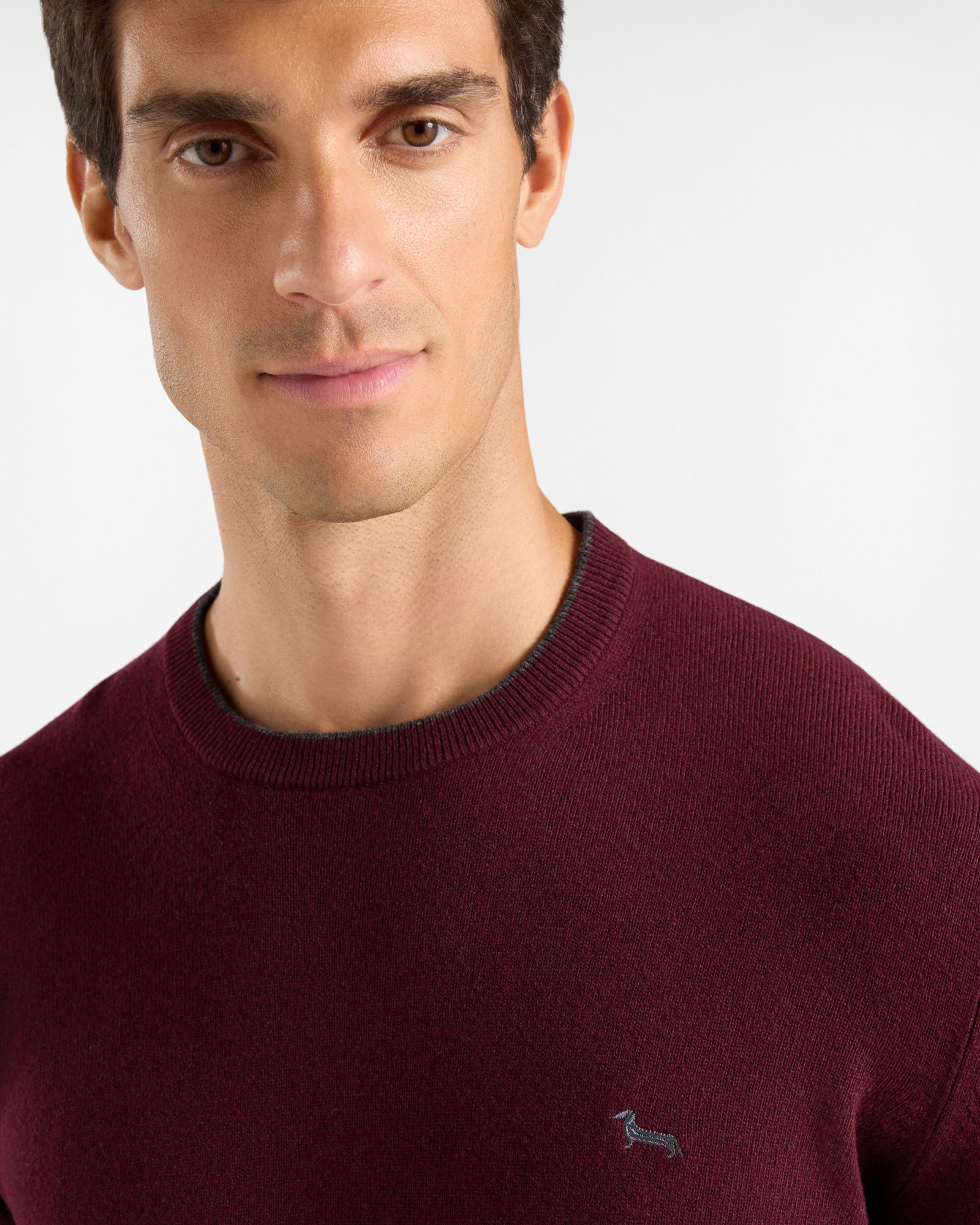 Men's crewneck sweater with contrasting stripe in a gray wool and cashmere blend with regular fit, DARK PURPLE, large image number 2