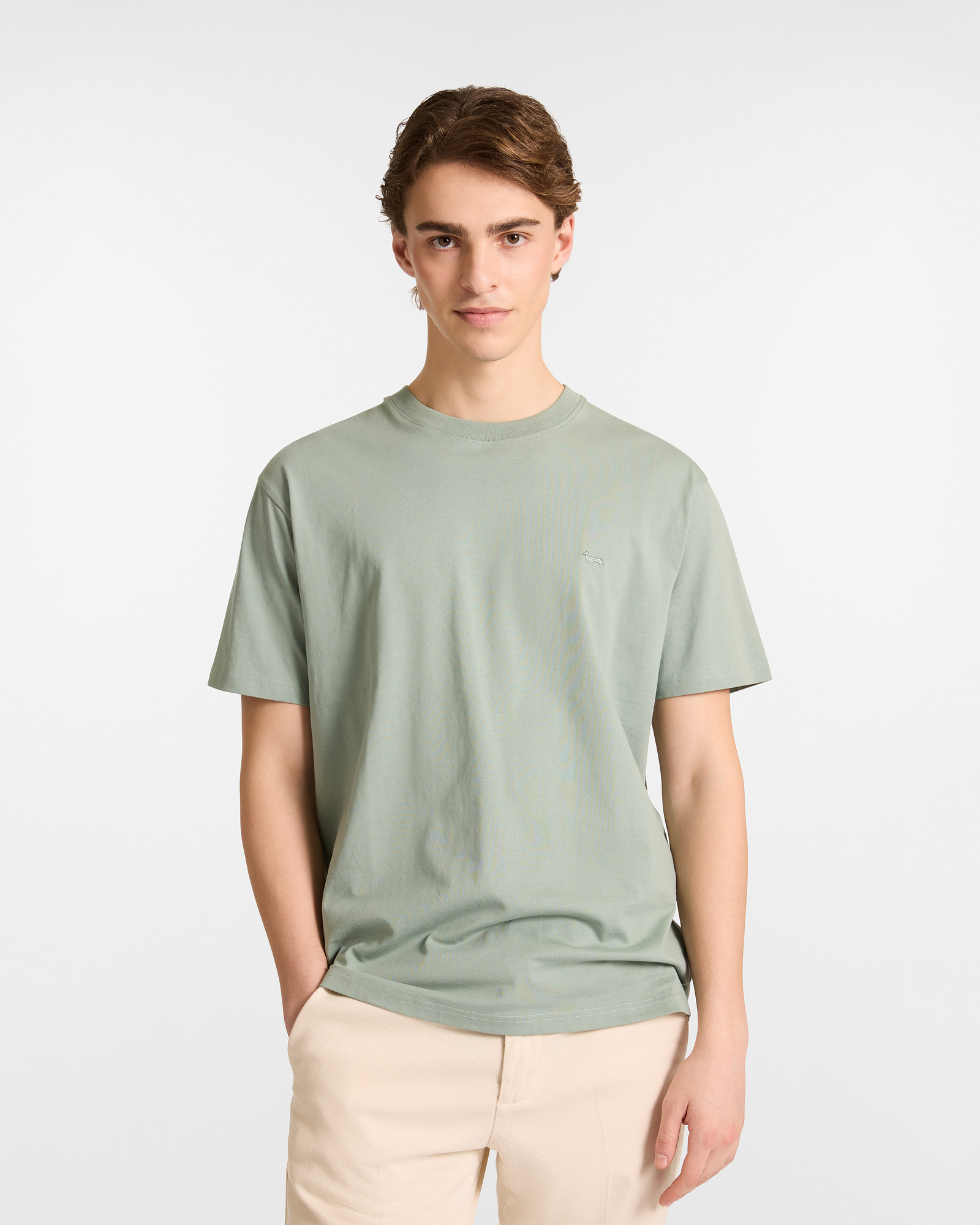 Relaxed Fit Cotton T-Shirt, Light Green, large