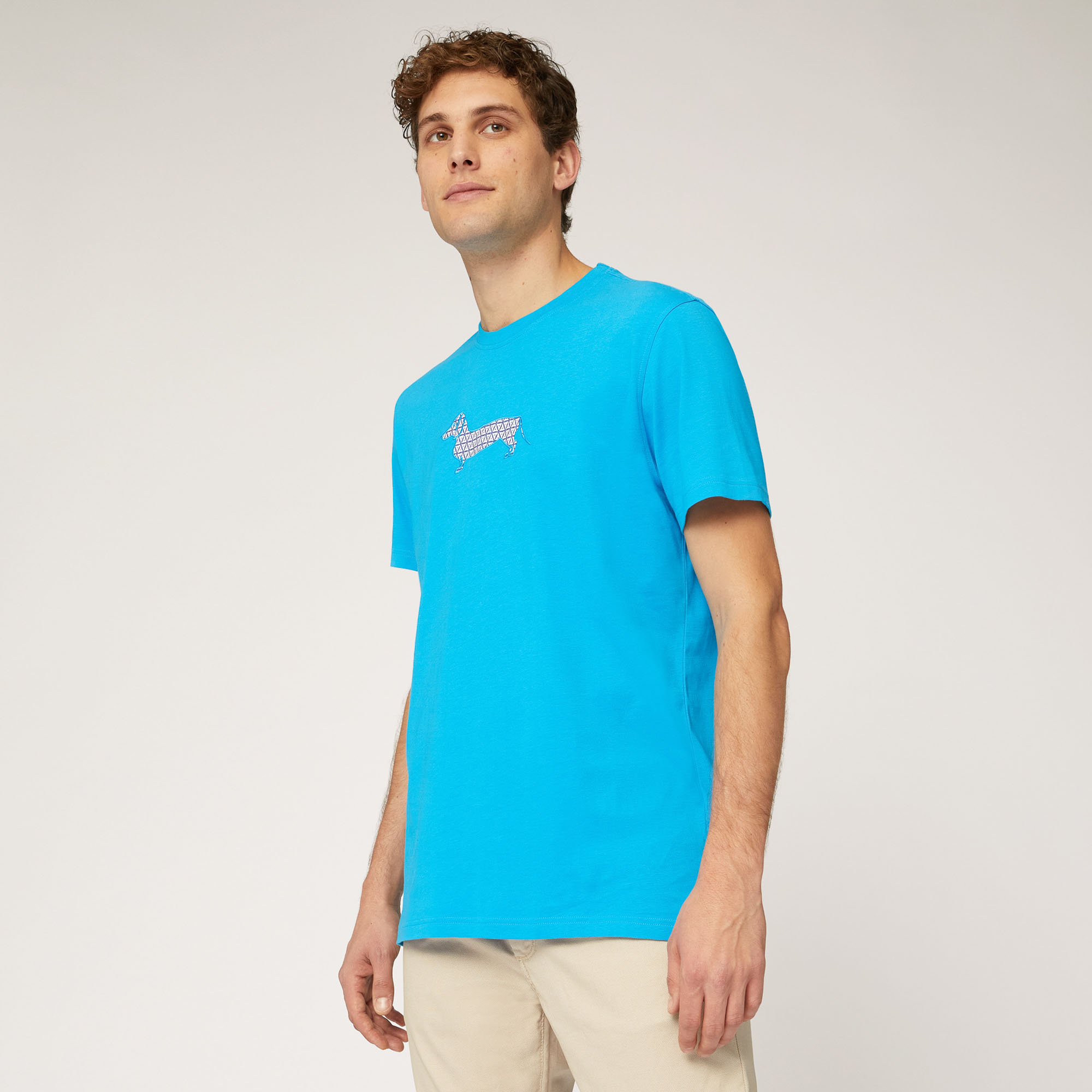 Printed Dachshund Maxi T-Shirt, Light Blue, large
