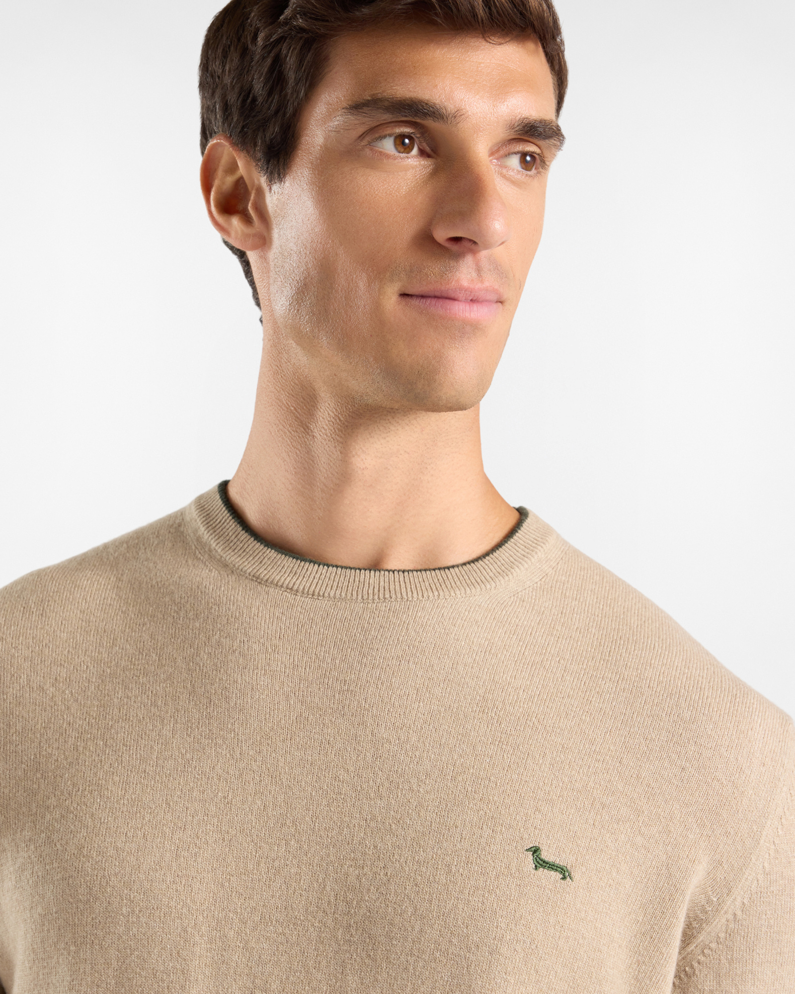 Men's crewneck sweater with contrasting stripe in a gray wool and cashmere blend with regular fit, BEIGE, large image number 2