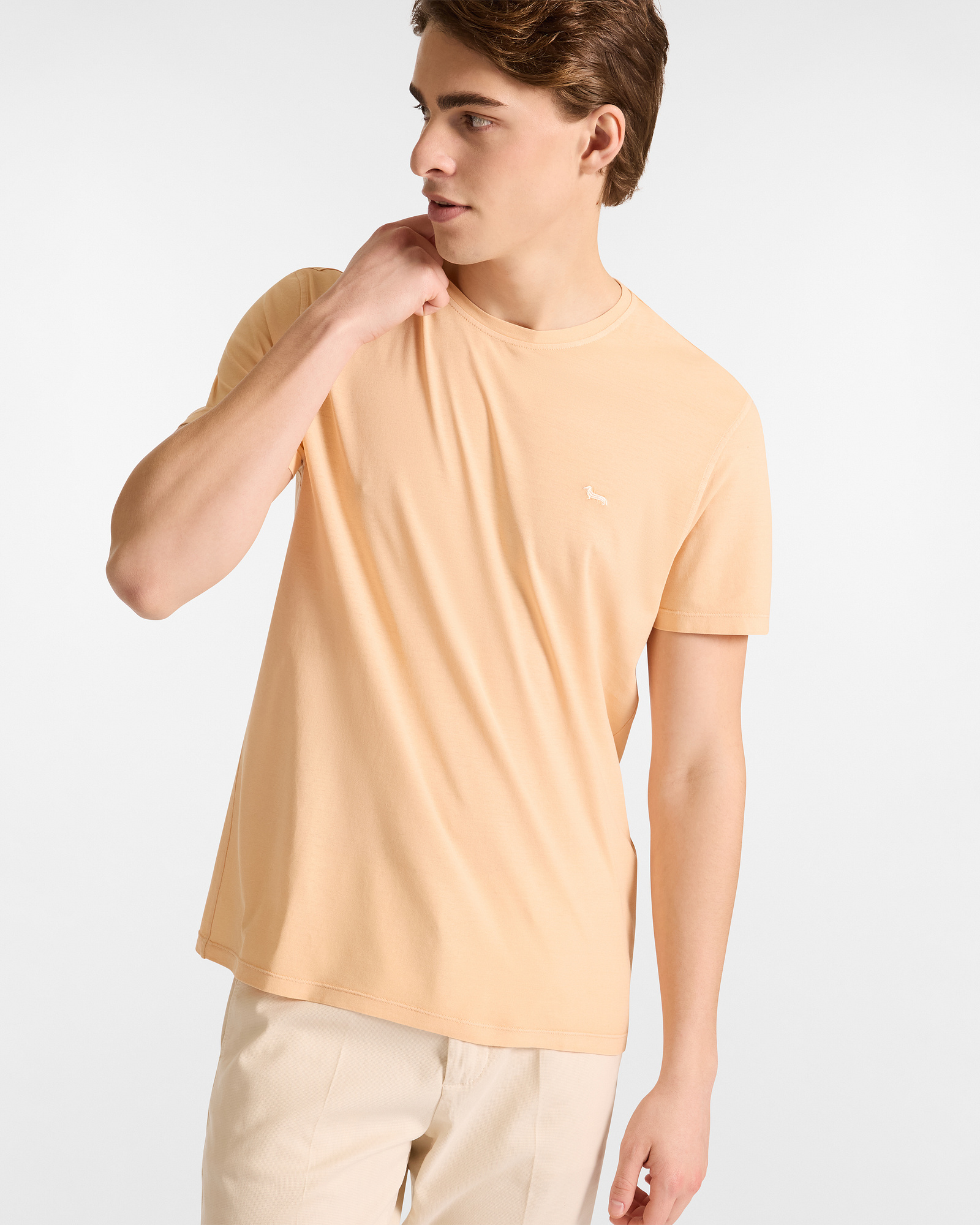 Cotton T-Shirt Capsule Earth Dye, Orange, large