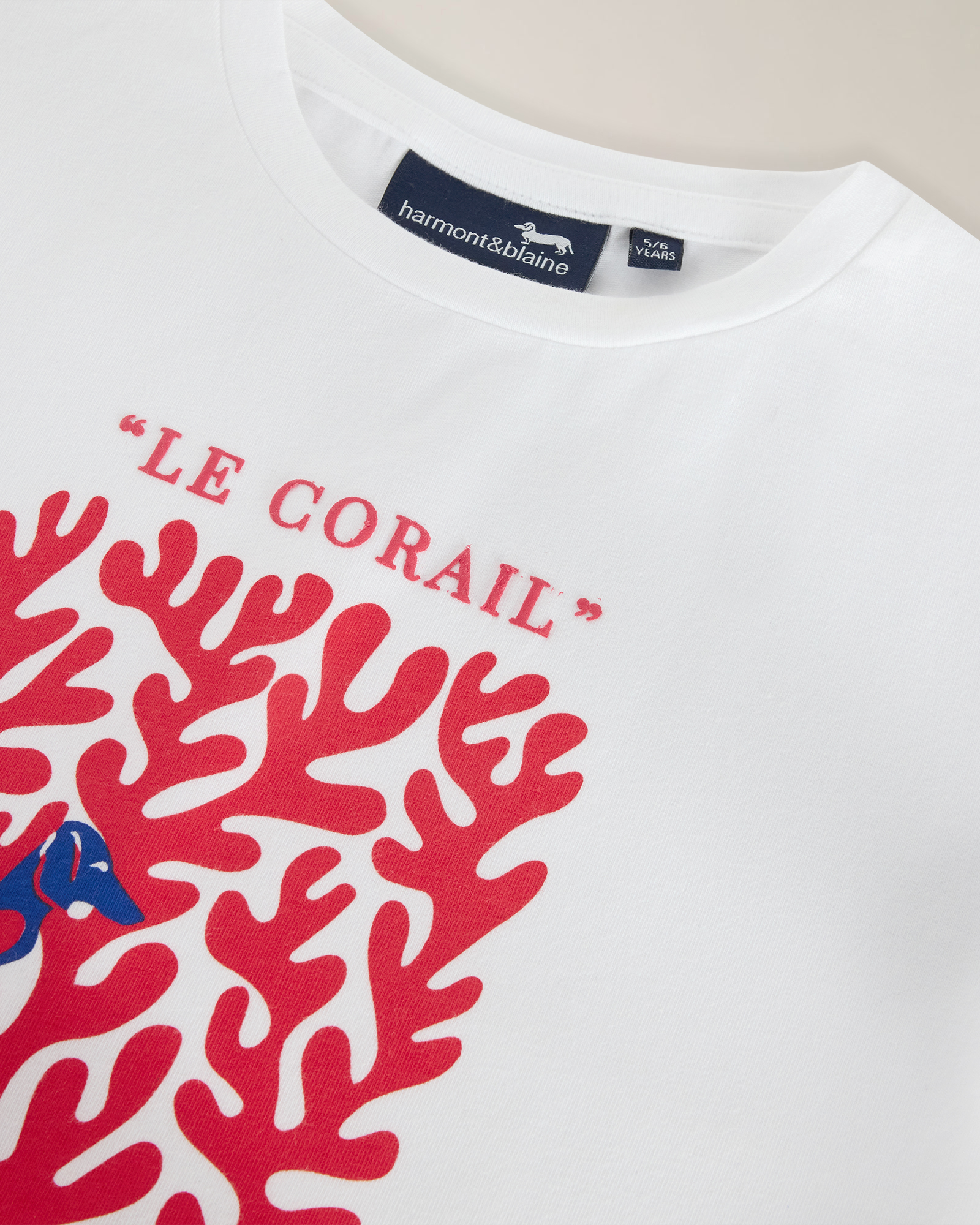 T-shirt con stampa corallo e bassotti, Bianco, large image number 2