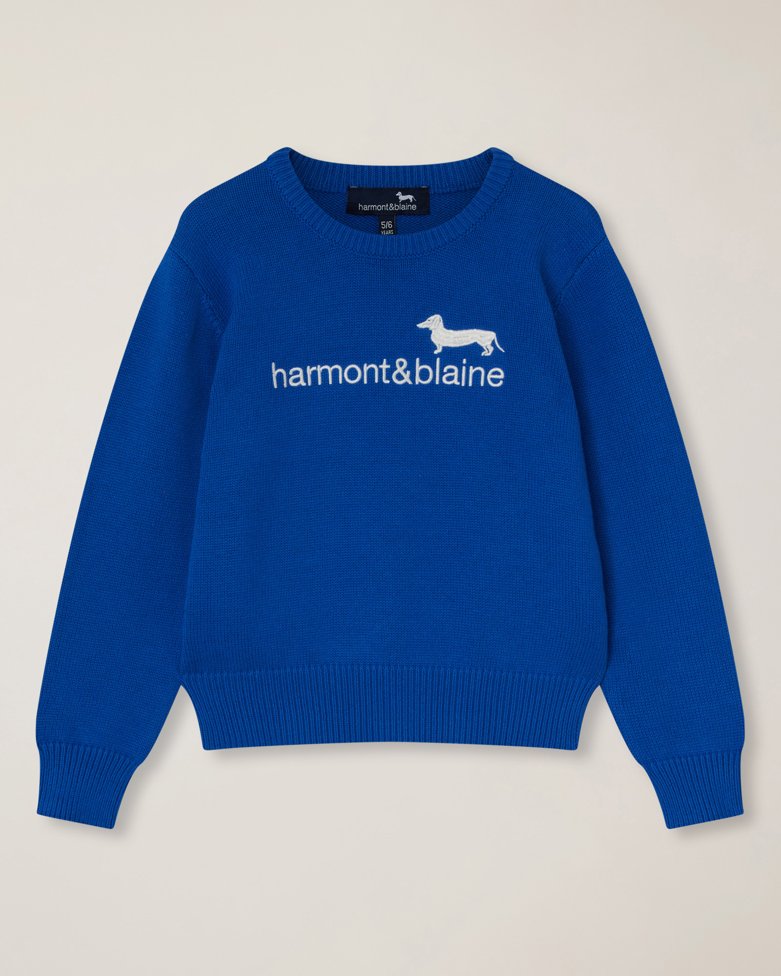 Crew-neck with embroidery , Light Blue, large