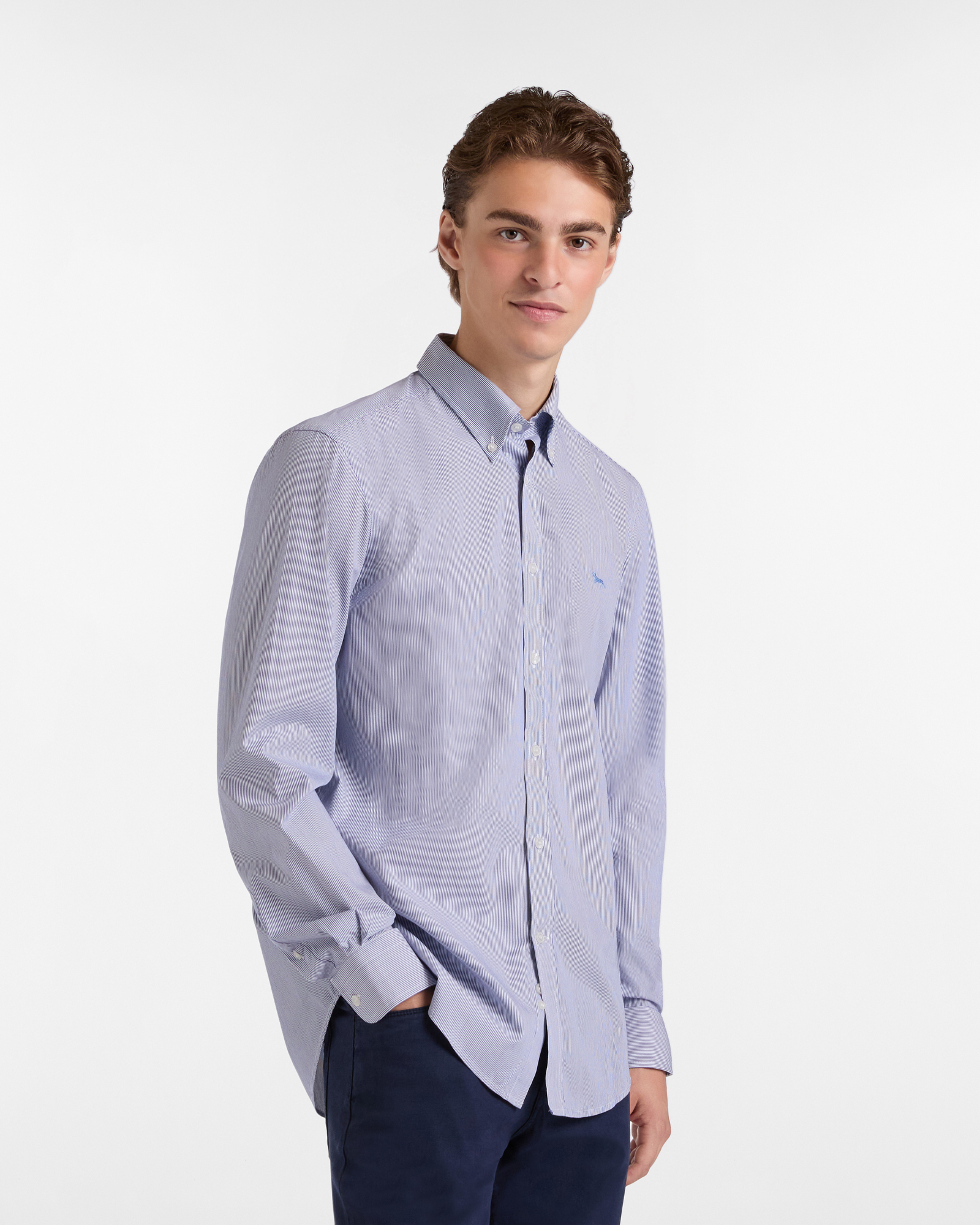 Camicia A Microrighe Con Bassotto, Blu Navy, large