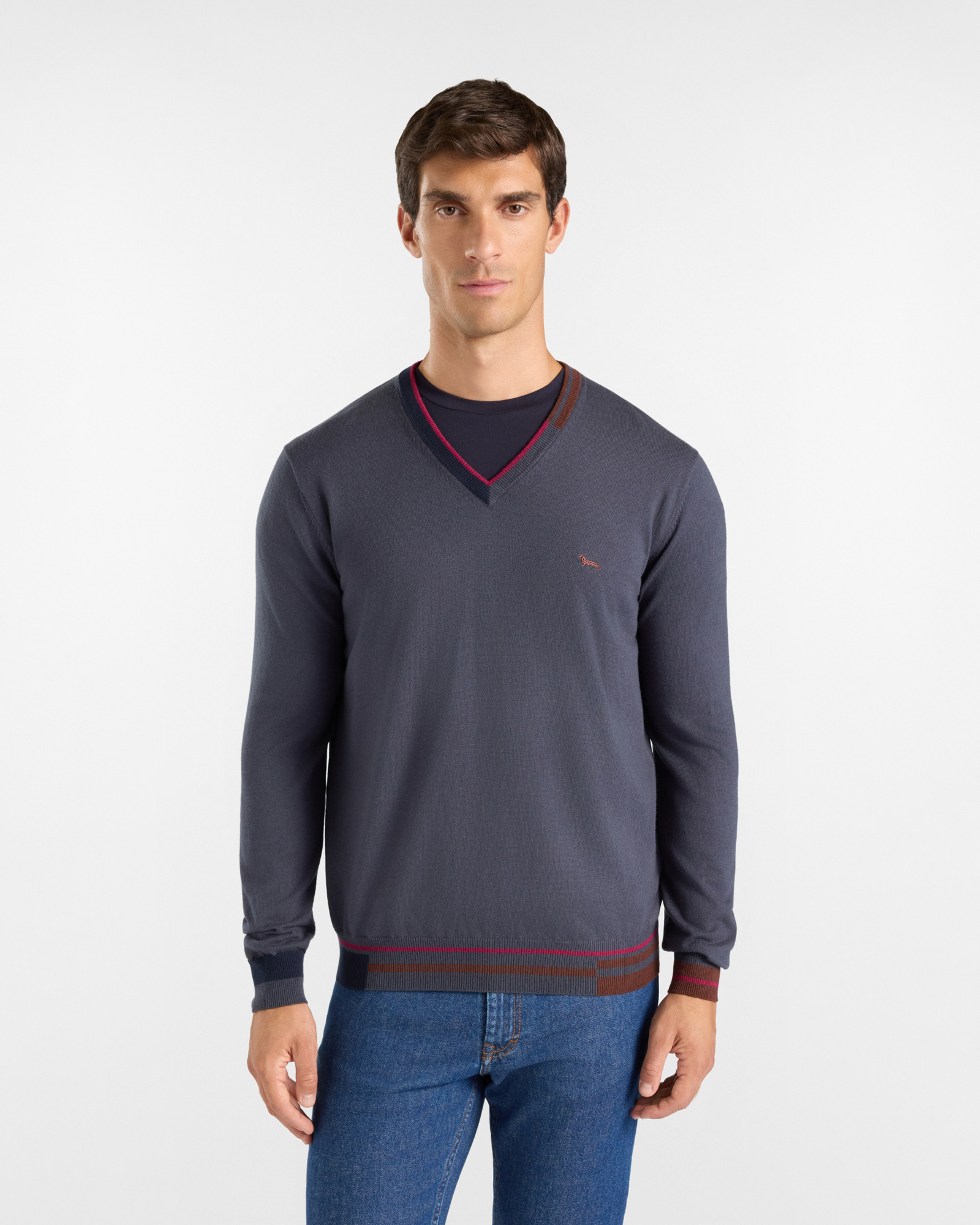 Jersey Hombre con cuello de pico en mezcla de lana y algod&oacute;n color gris Regular Fit