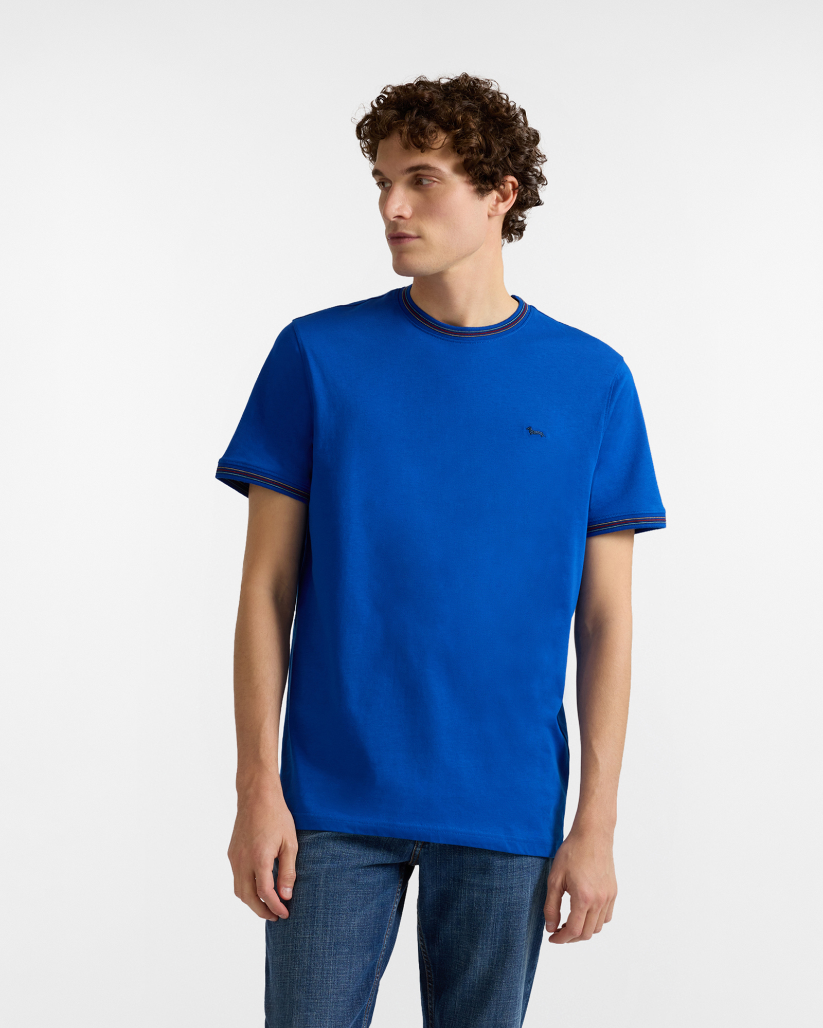 Men's T-shirt with striped collar and hems, Blue, large