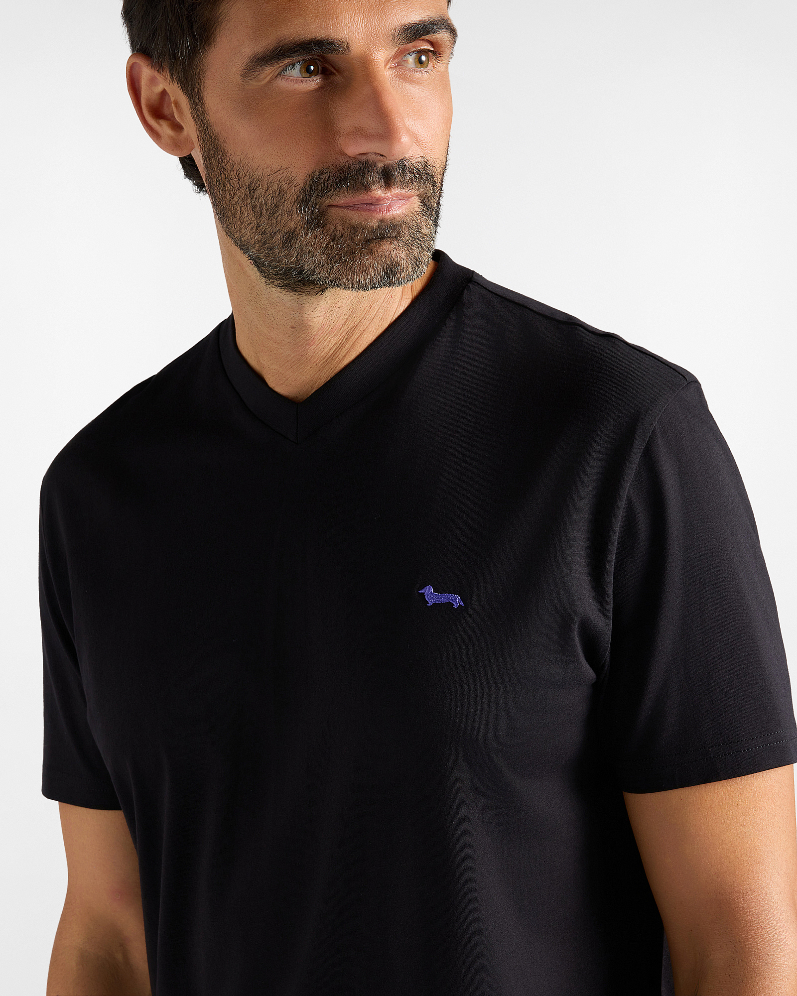 Men's regular-fit V-neck T-shirt in 100% pure cotton, BLACK, large image number 2