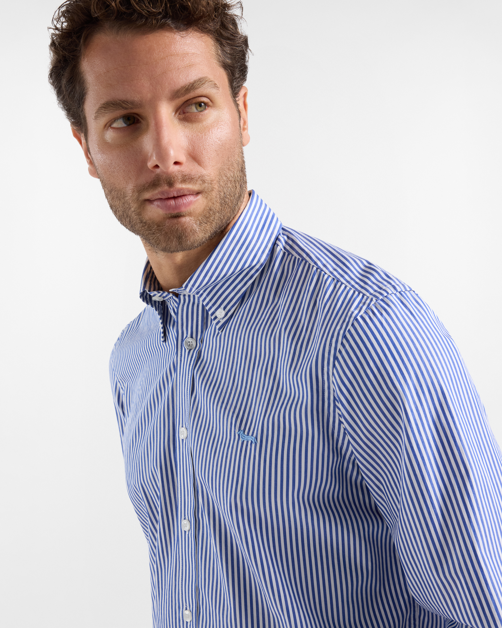 Camicia Uomo a Righe in Puro Cotone Regular Fit, Blu, large image number 2