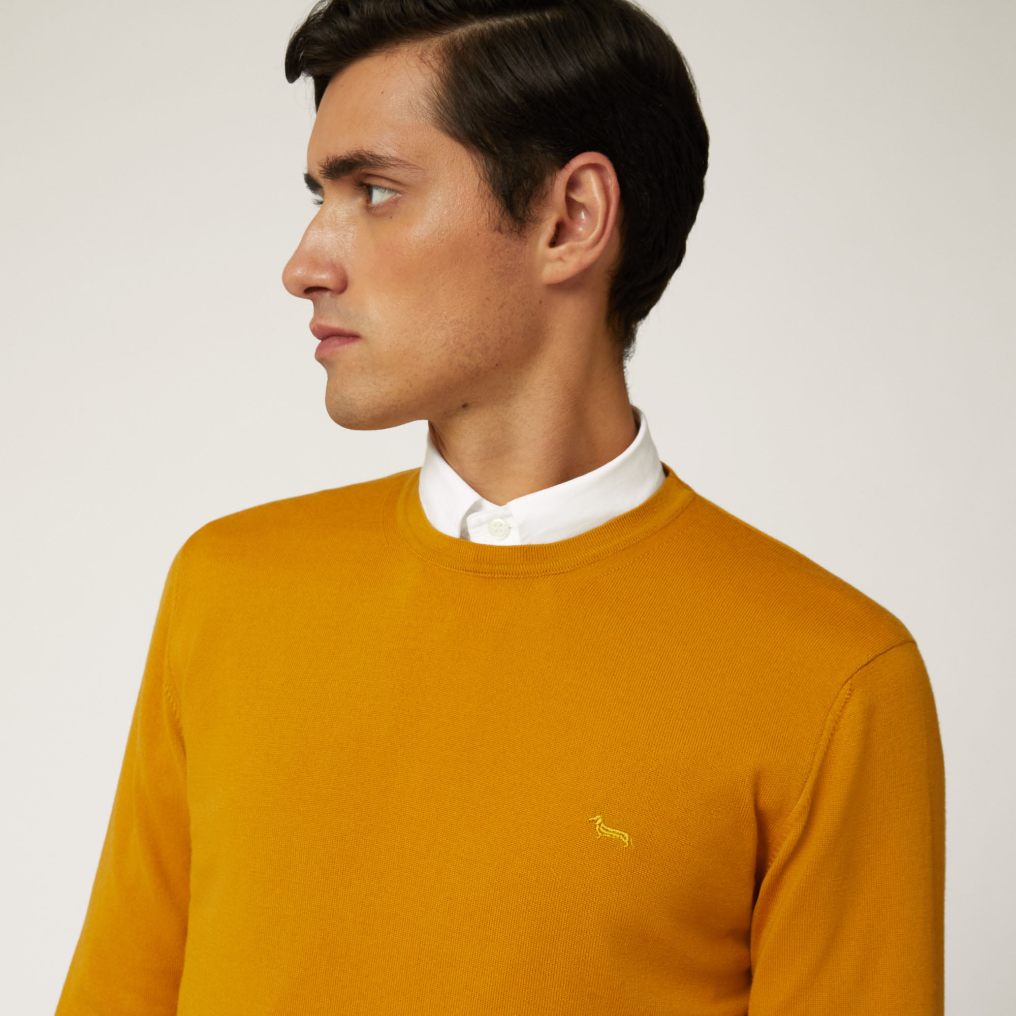 Pullover Girocollo In Lana Merino, Senape, large image number 2