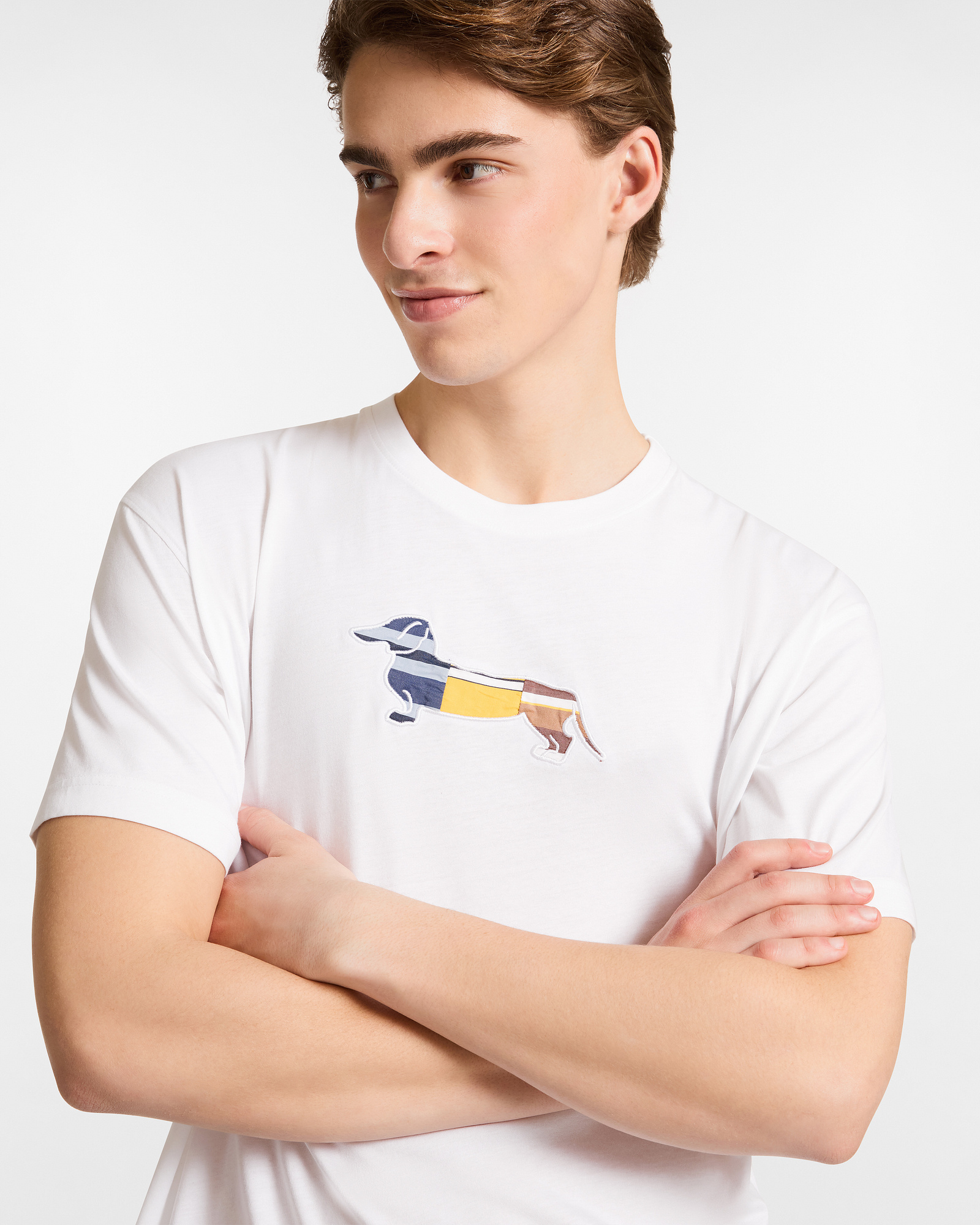 T‑Shirt with Dachshund “Upcycling" Capsule , White, large image number 2