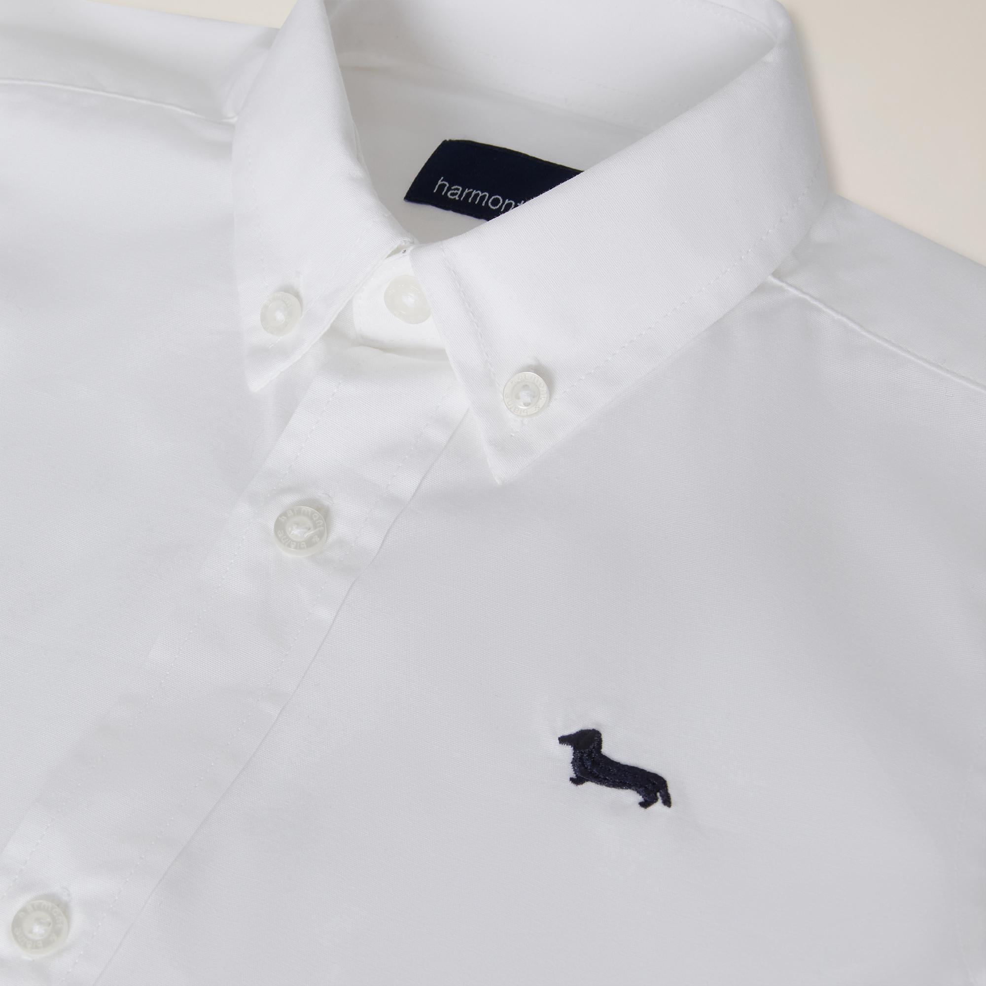 Solid-color shirt with button-down collar, White, large image number 2