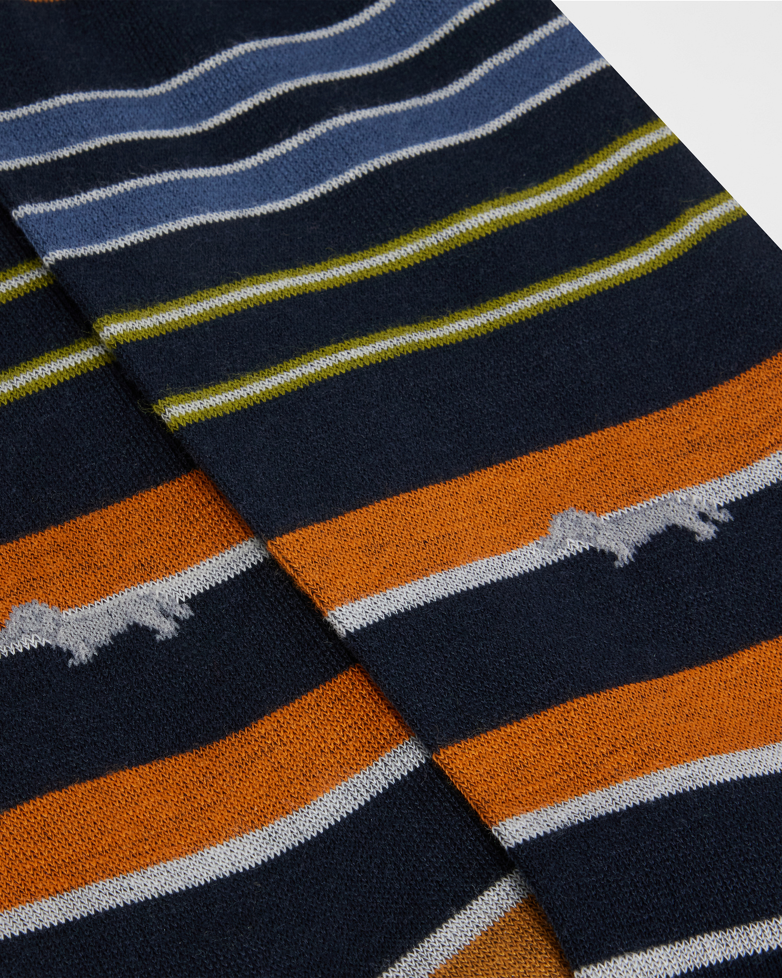 3-Pack Socks with Dachshund