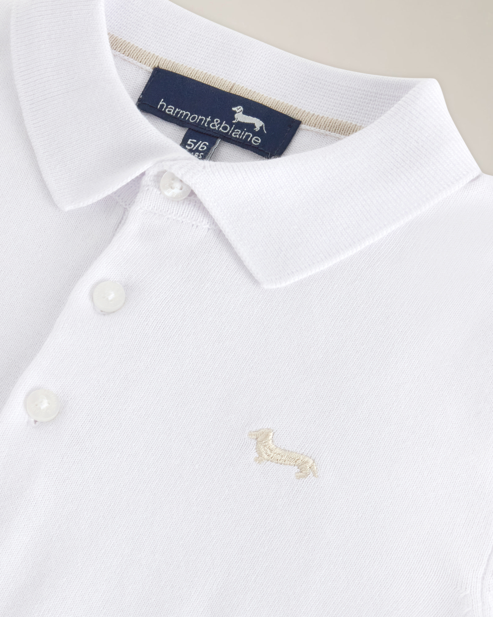 Maglia polo manica corta  con ricamo logo, Bianco Off, large image number 2